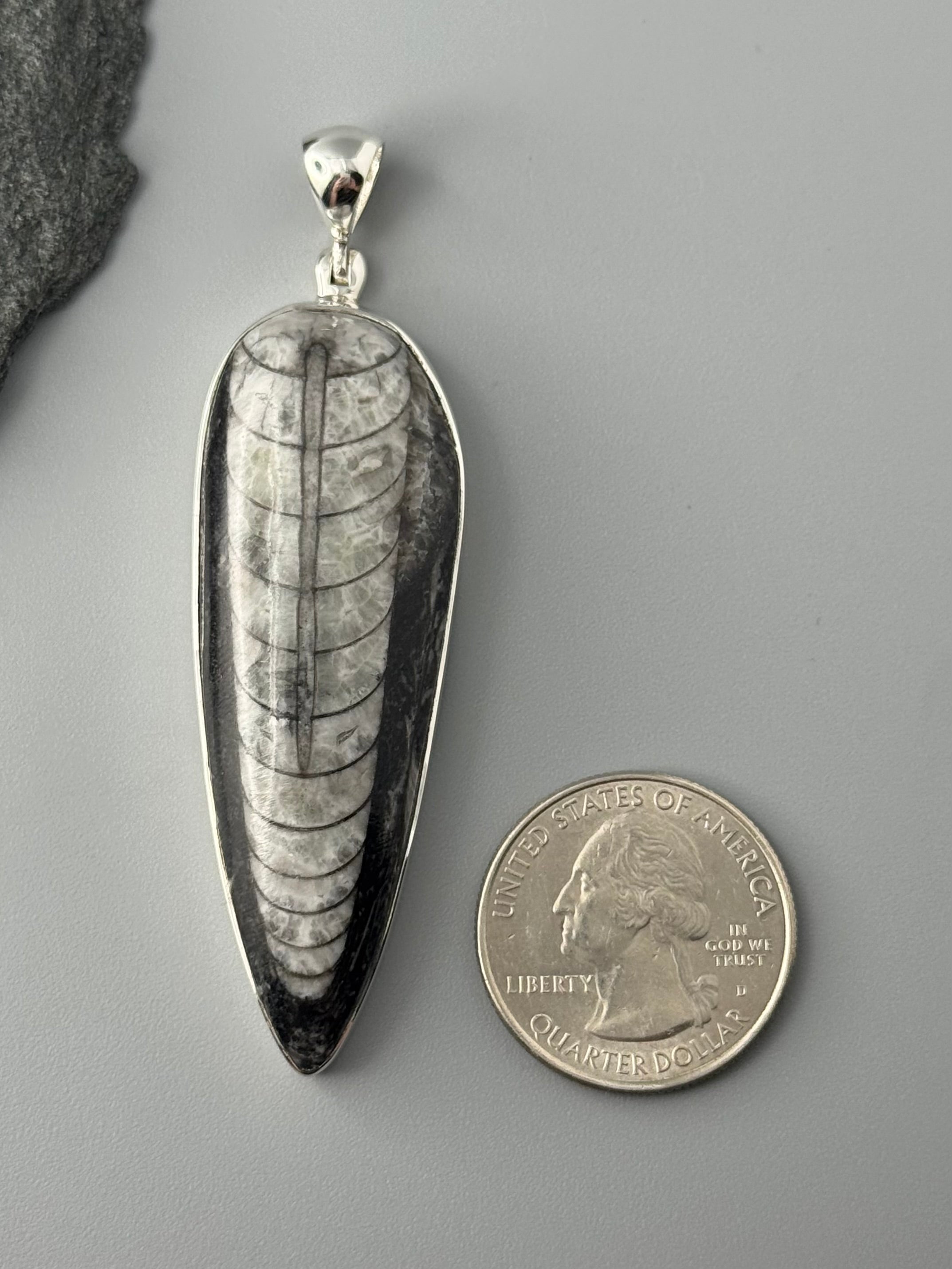 •ORTHOCERAS FOSSIL - 2• sterling silver pendant
