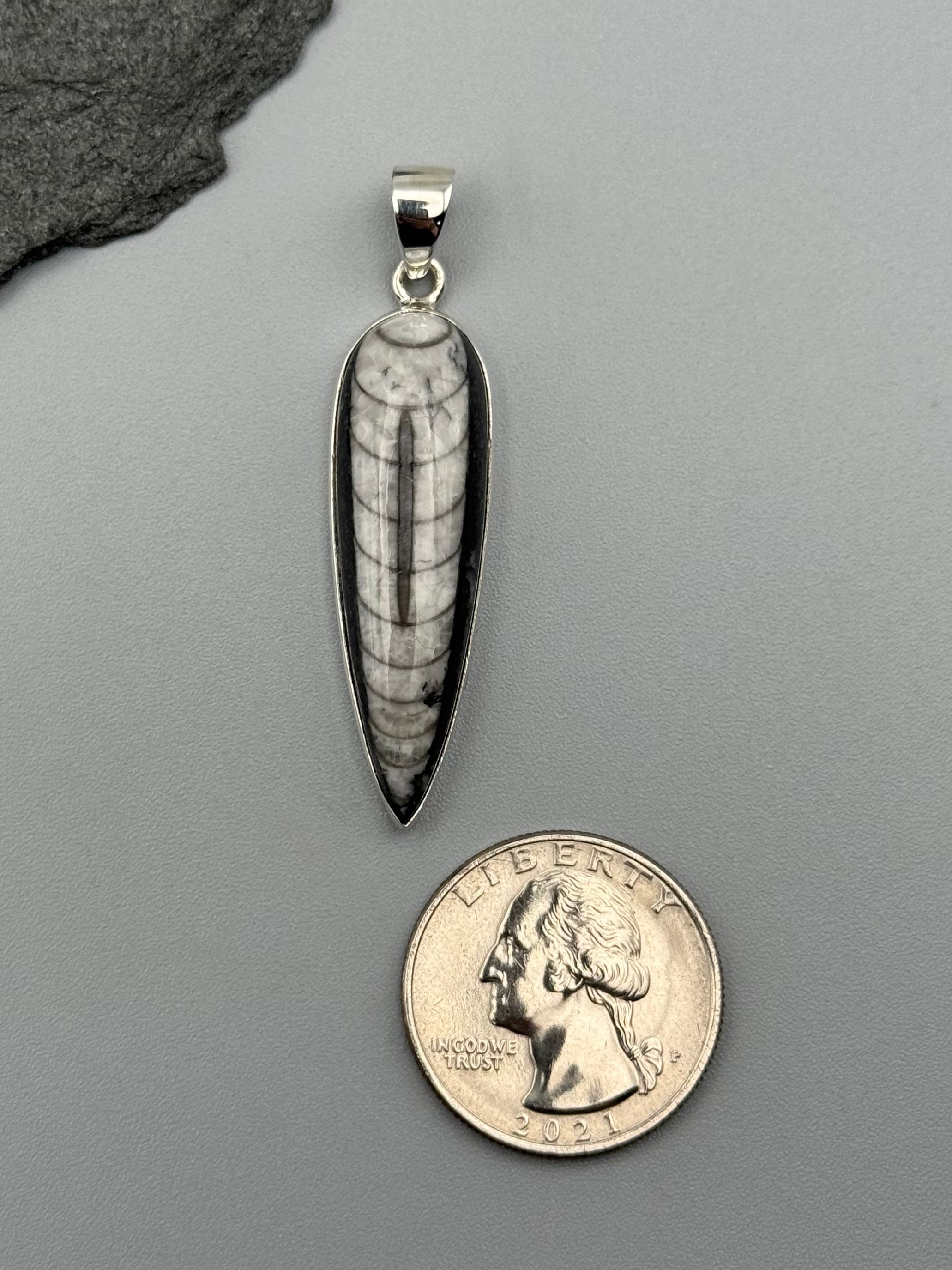 •ORTHOCERAS FOSSIL - SPEAR TEAR 1• sterling silver pendant