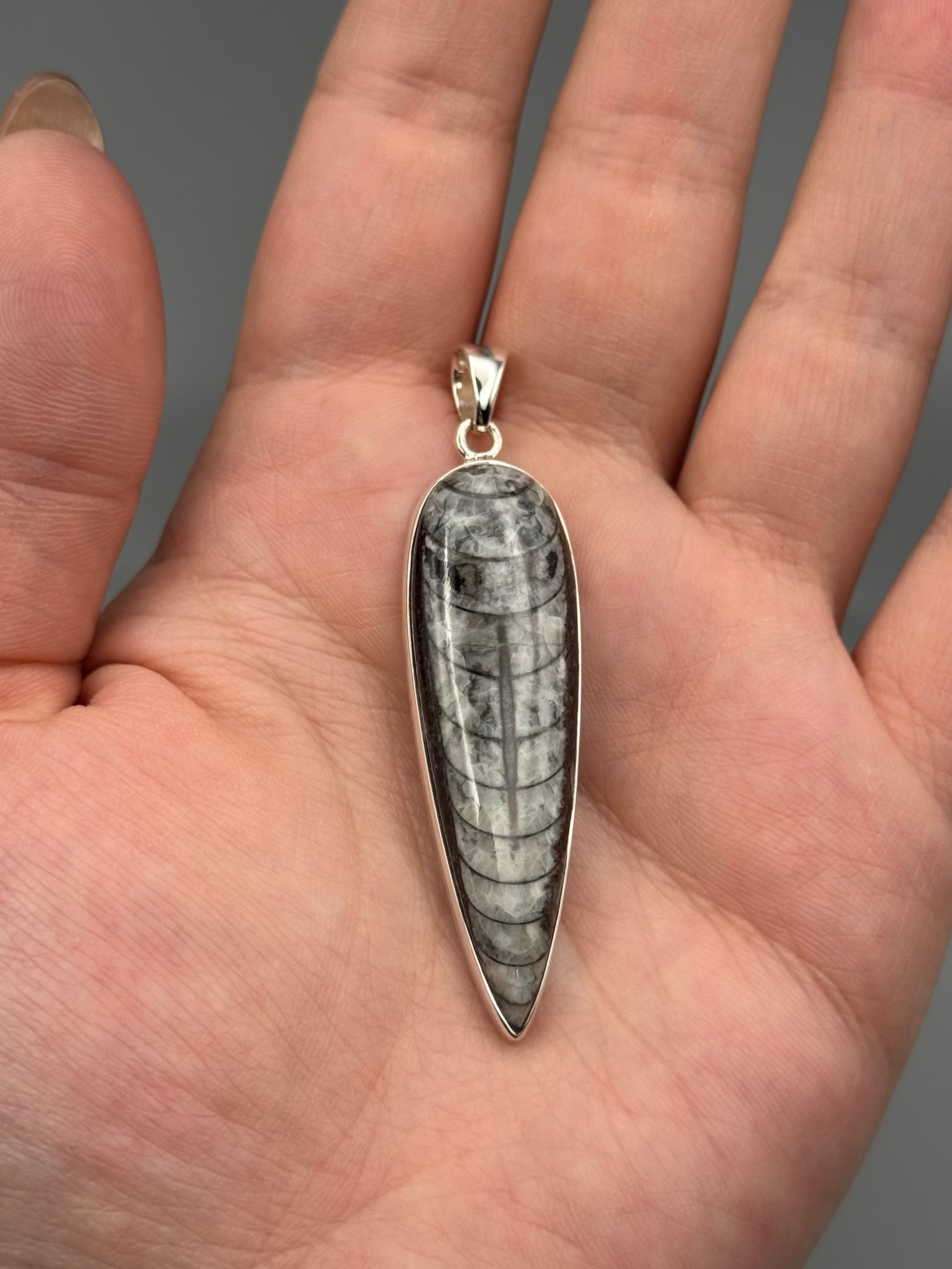 •ORTHOCERAS FOSSIL - SPEAR TEAR 2• sterling silver pendant
