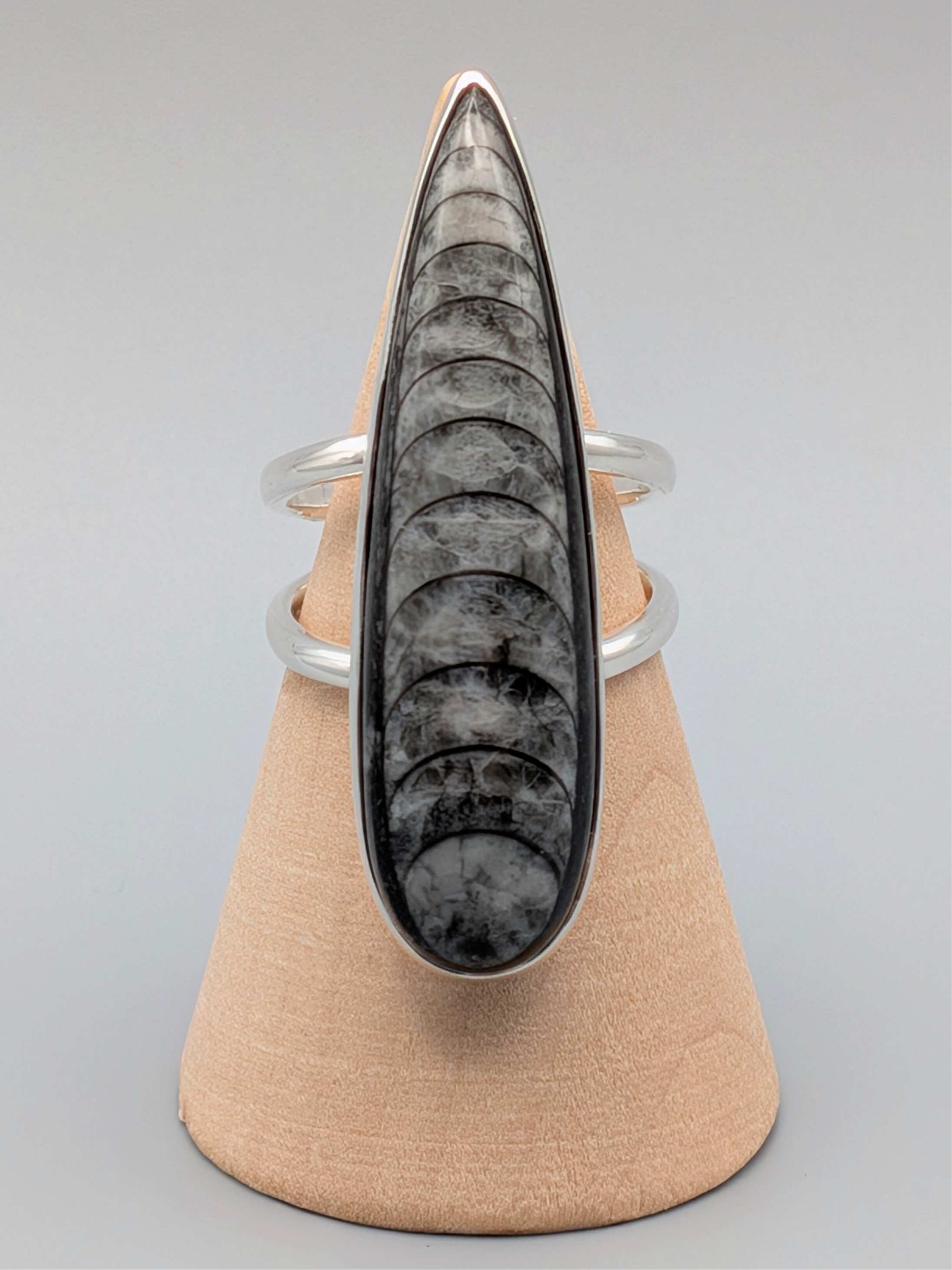 •ORTHOCERAS - TEARDROP• split band silver ring (size 7)