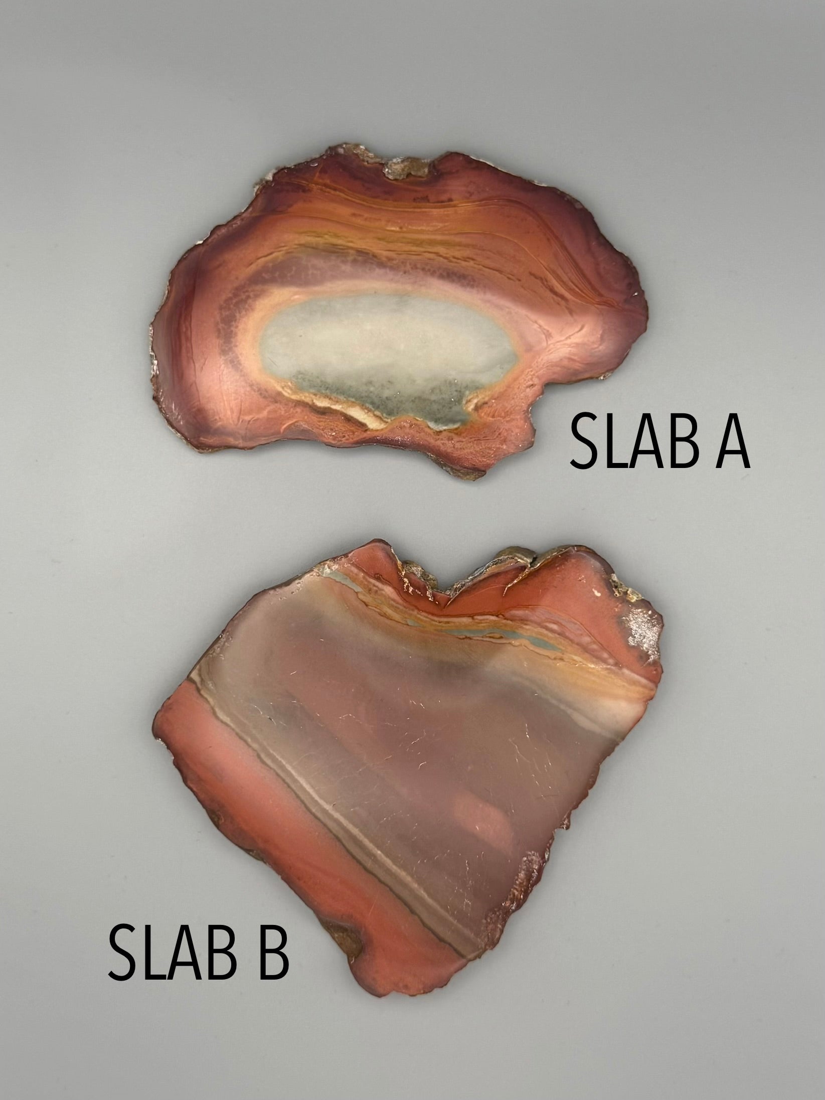 •POLYCHROME JASPER• small sister slabs