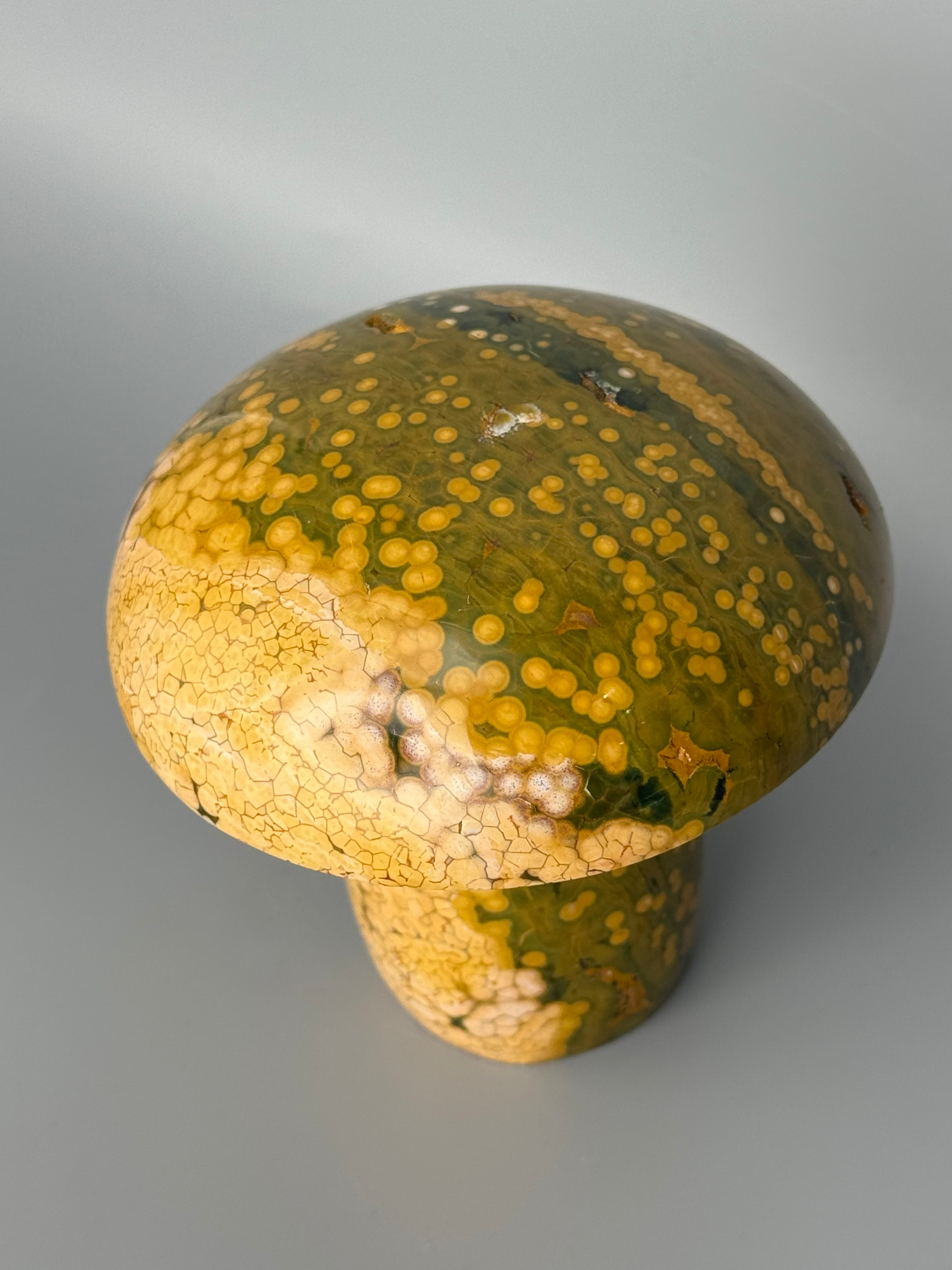 •KABAMBY OCEAN JASPER• carved mushroom