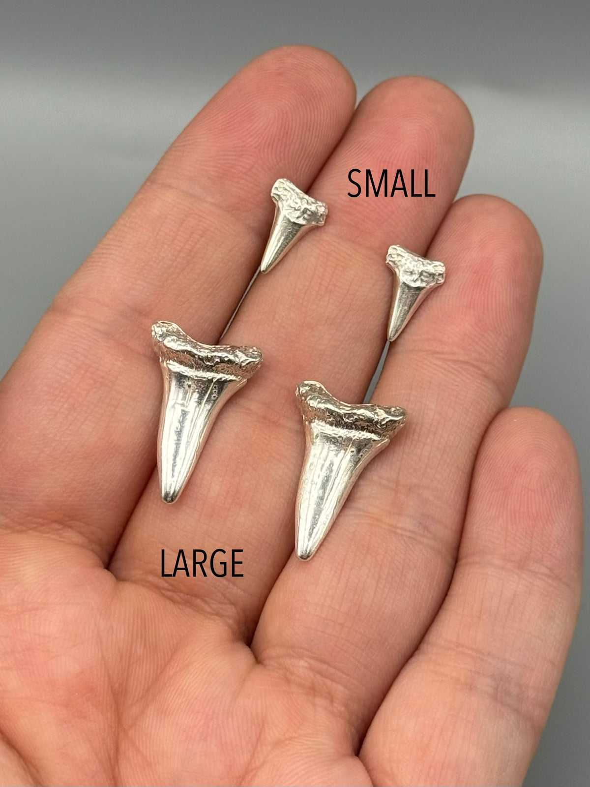•SHARK TOOTH• silver stud earrings (various sizes)