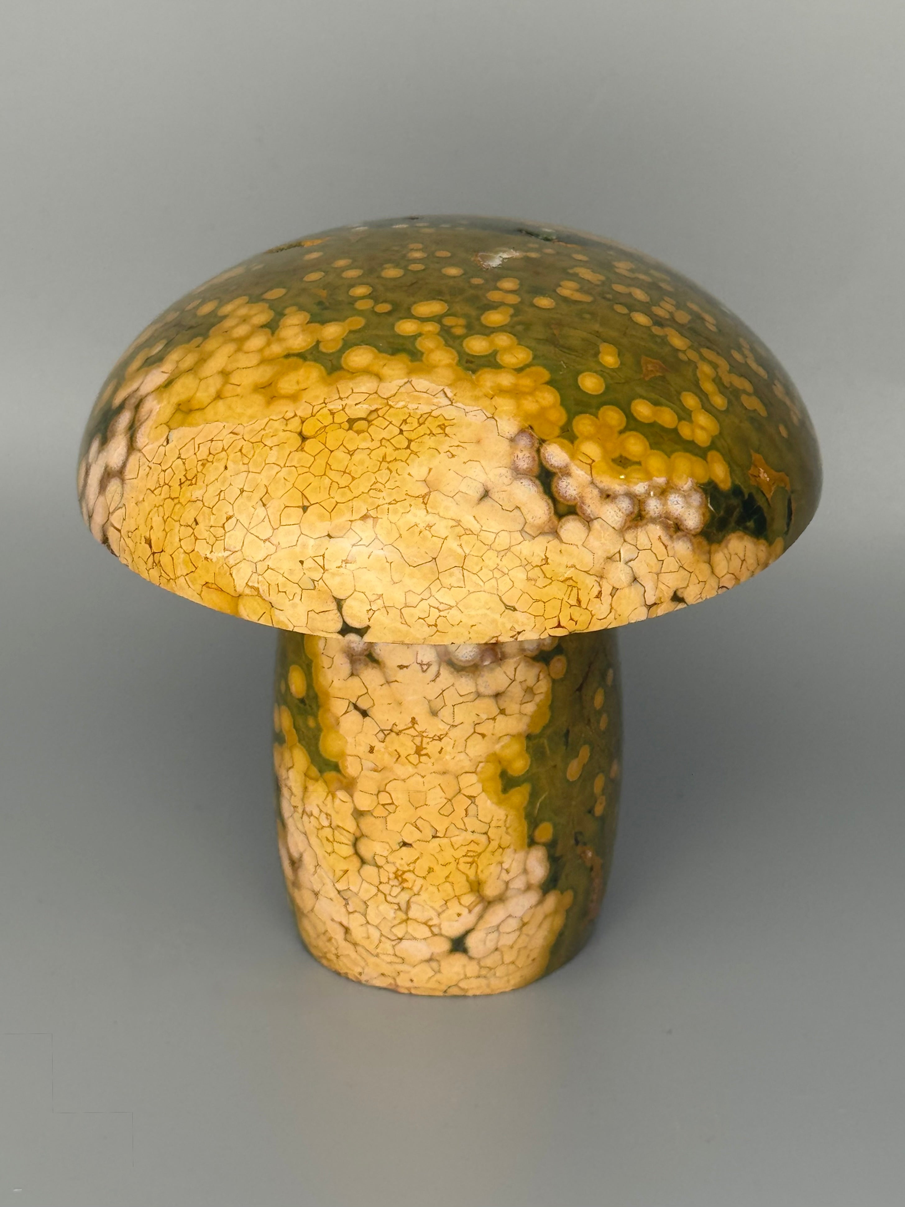 •KABAMBY OCEAN JASPER• carved mushroom