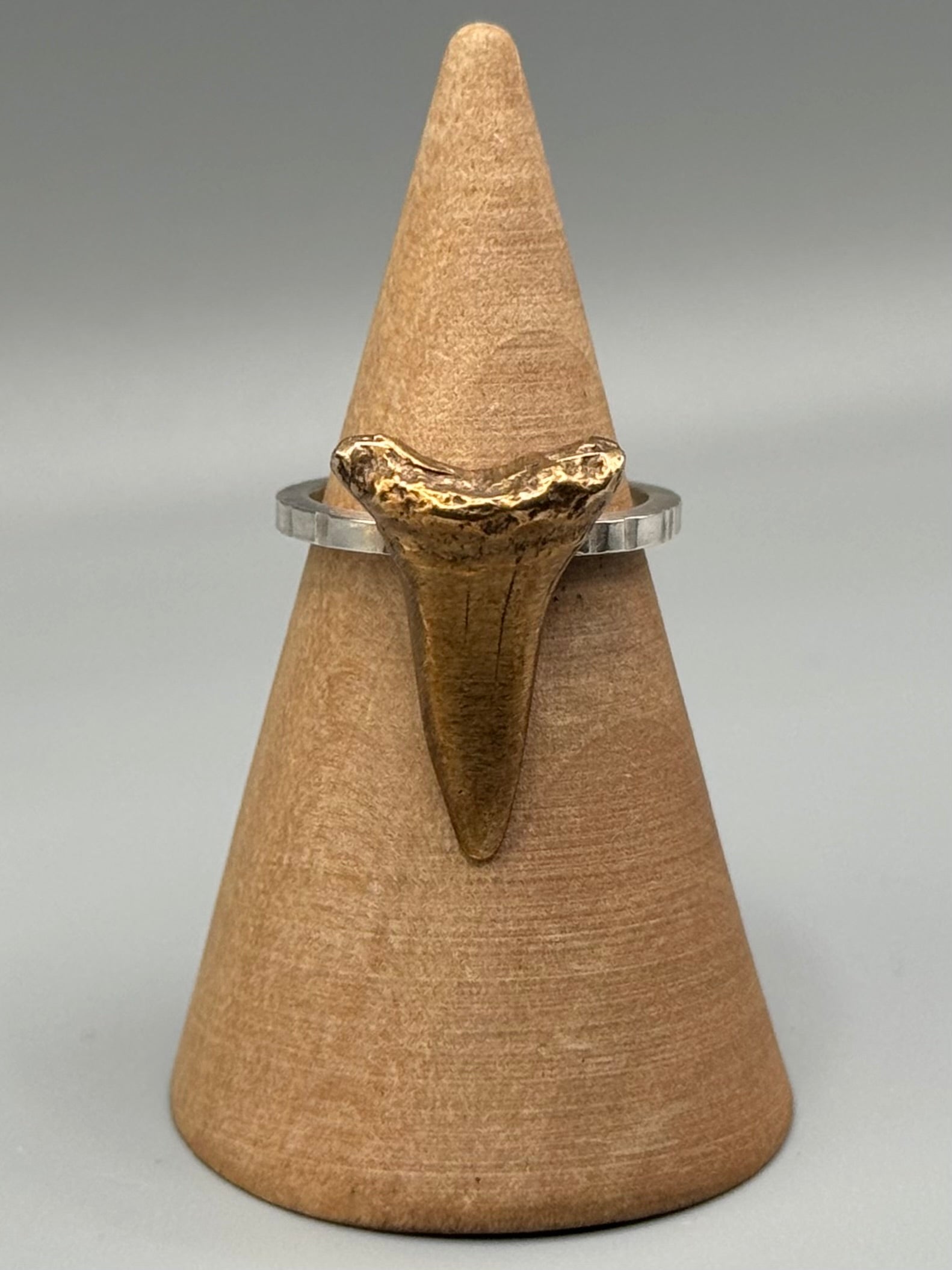 •SHARKS TOOTH CAST• mixed metal ring