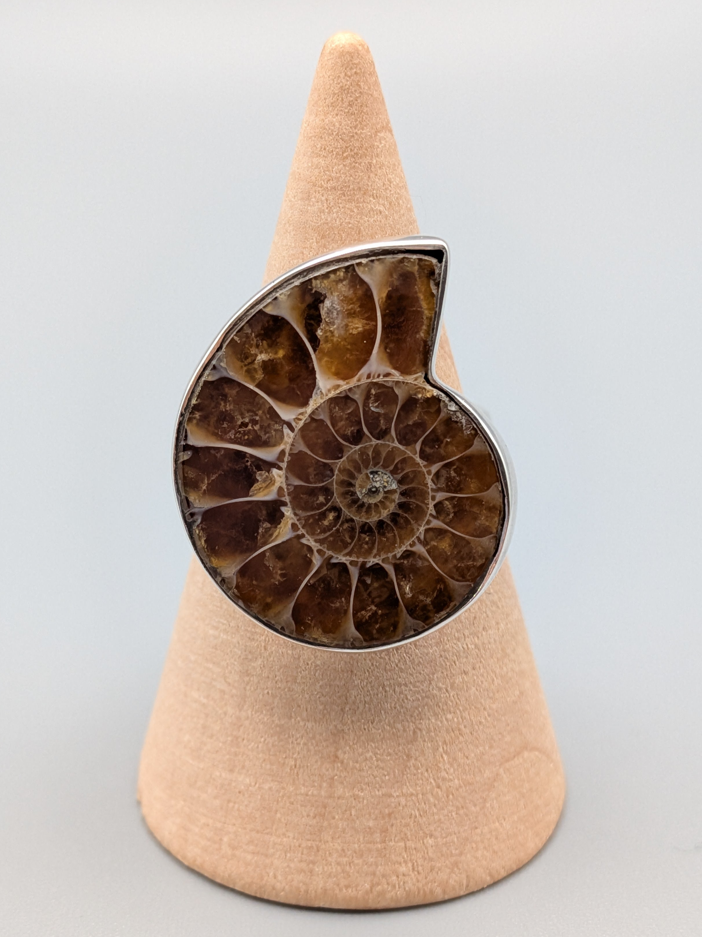 •AMMONITE• simple bezel silver ring (size 9)