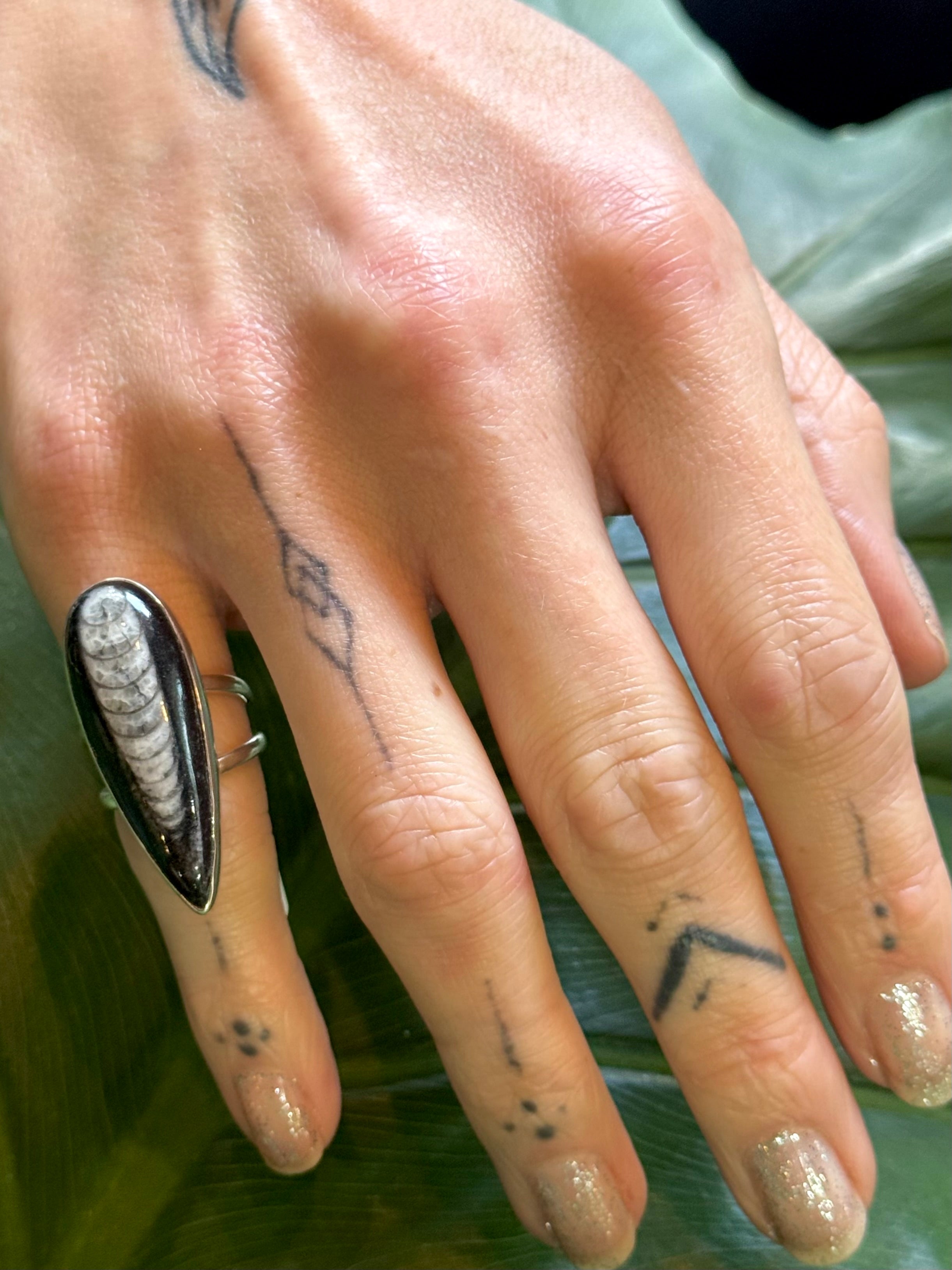 •ORTHOCERAS - TEARDROP• split band silver ring (size 6)