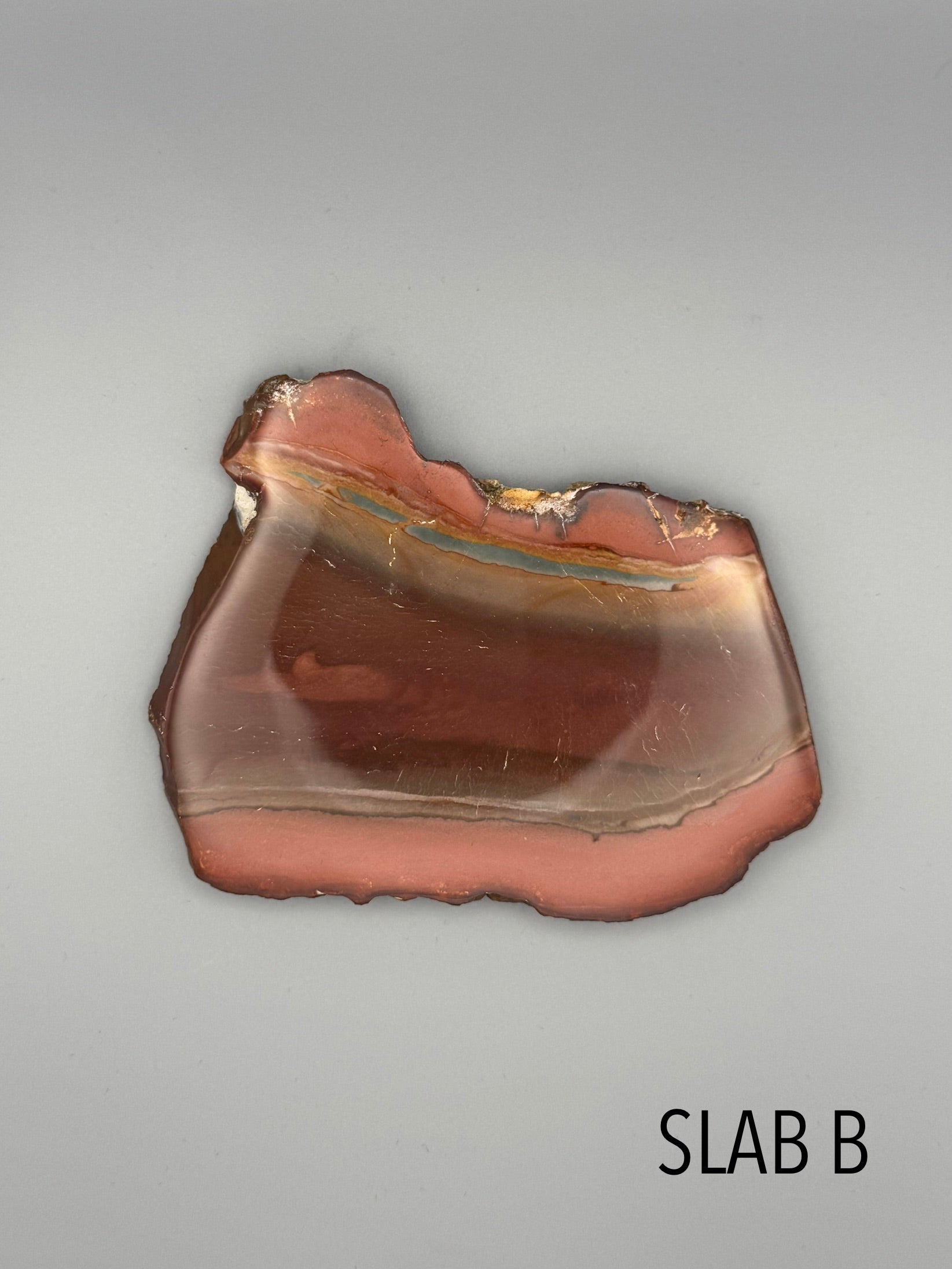 •POLYCHROME JASPER• small sister slabs