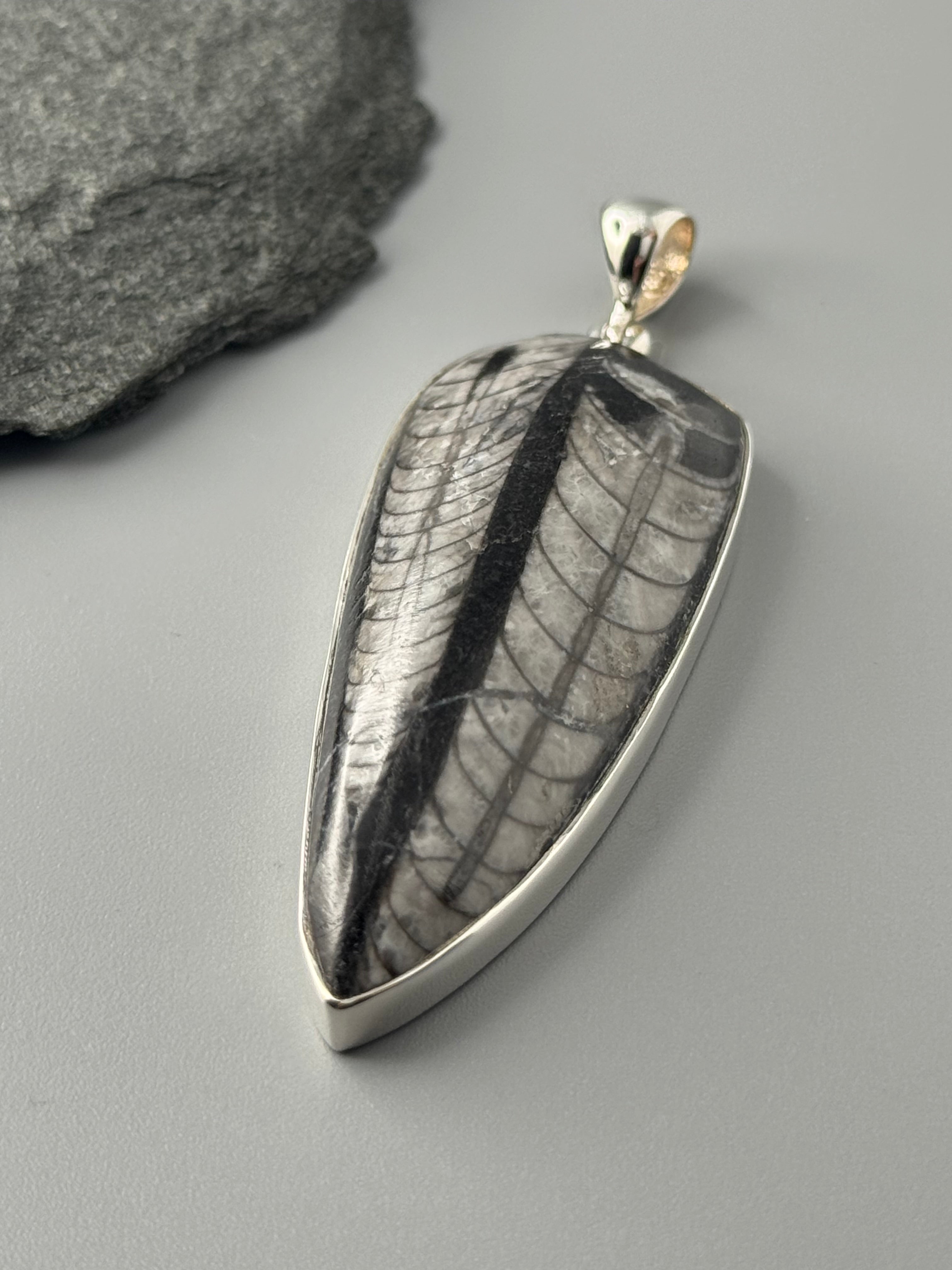 •ORTHOCERAS FOSSIL - 1• sterling silver pendant