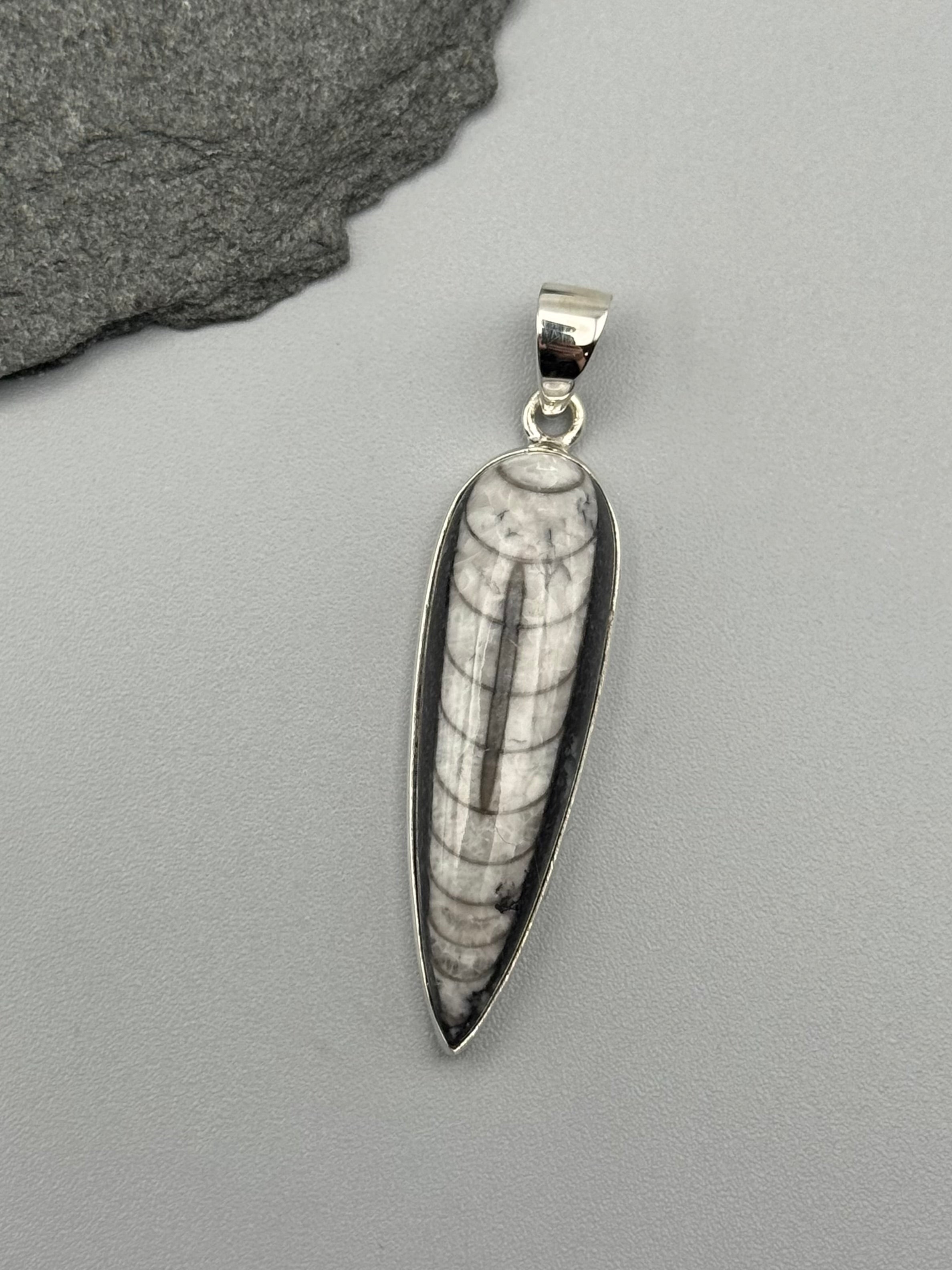 •ORTHOCERAS FOSSIL - SPEAR TEAR 1• sterling silver pendant