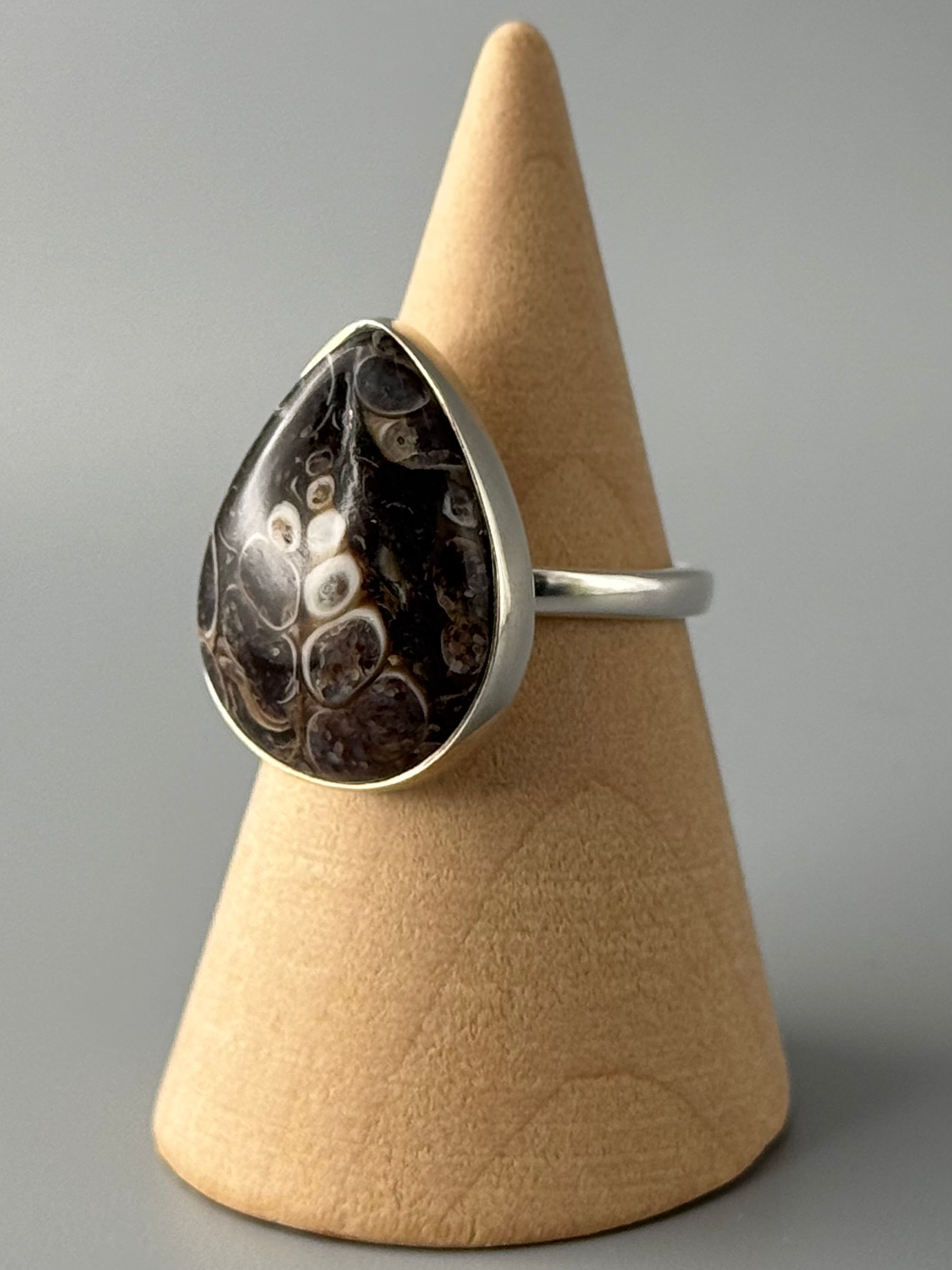 •TURRITELLA FOSSIL - TEAR• simple bezel silver ring (size 7)