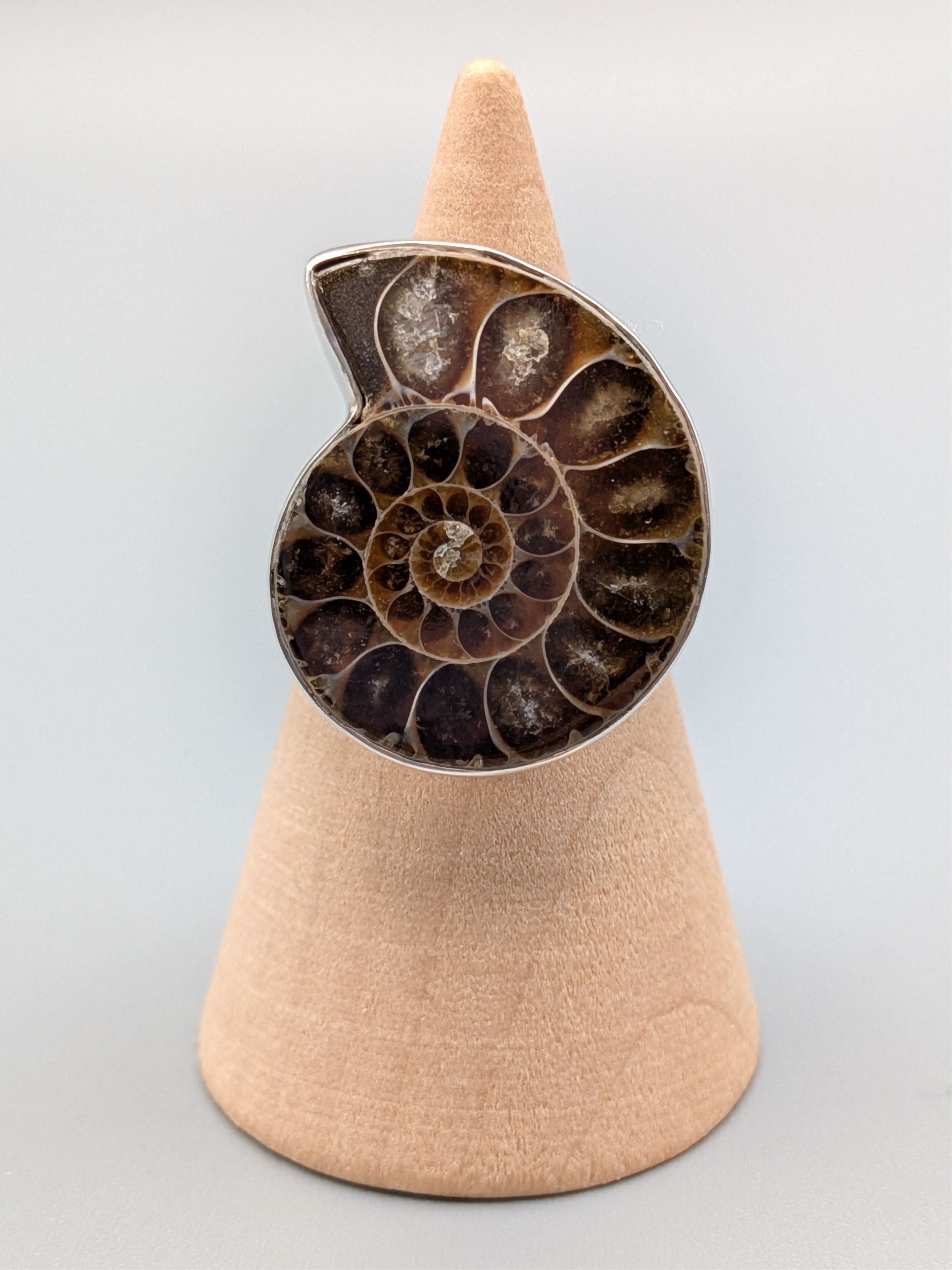 •AMMONITE• simple bezel silver ring (size 6.25)