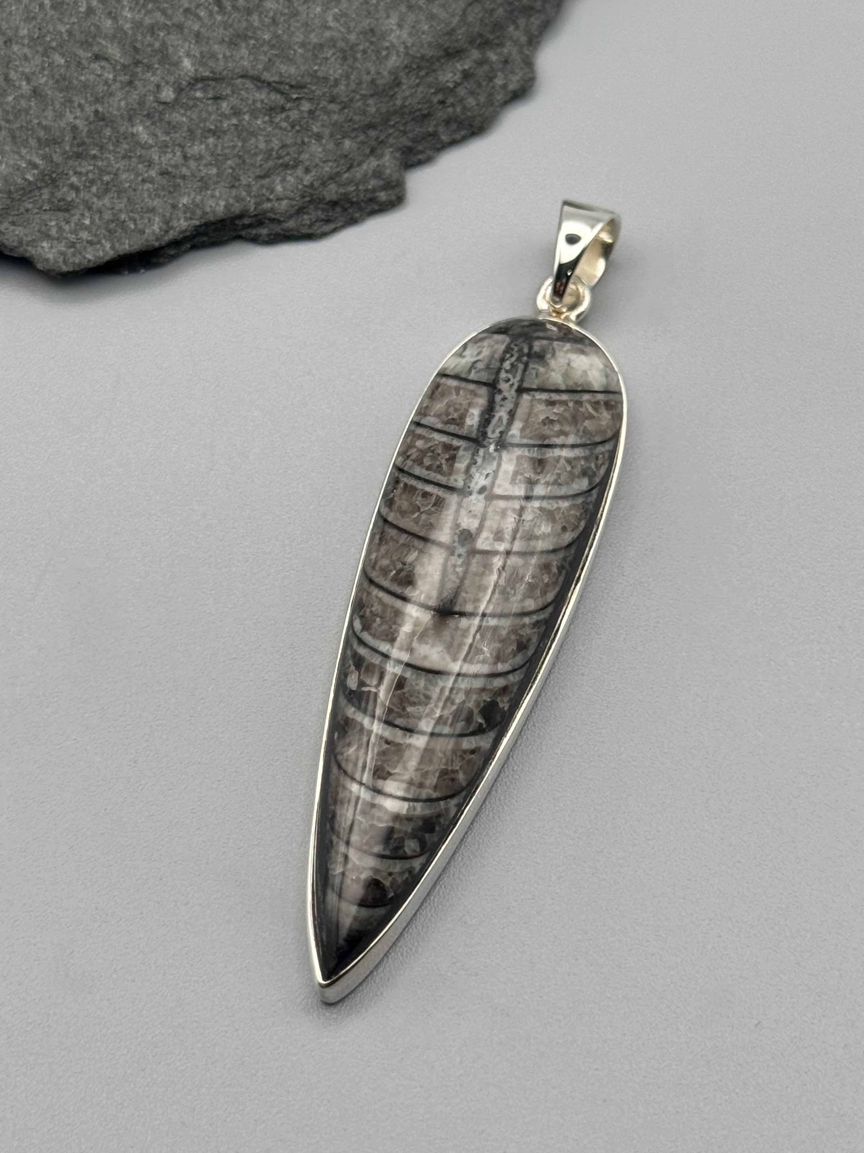 •ORTHOCERAS FOSSIL - SPEAR TEAR 4• sterling silver pendant