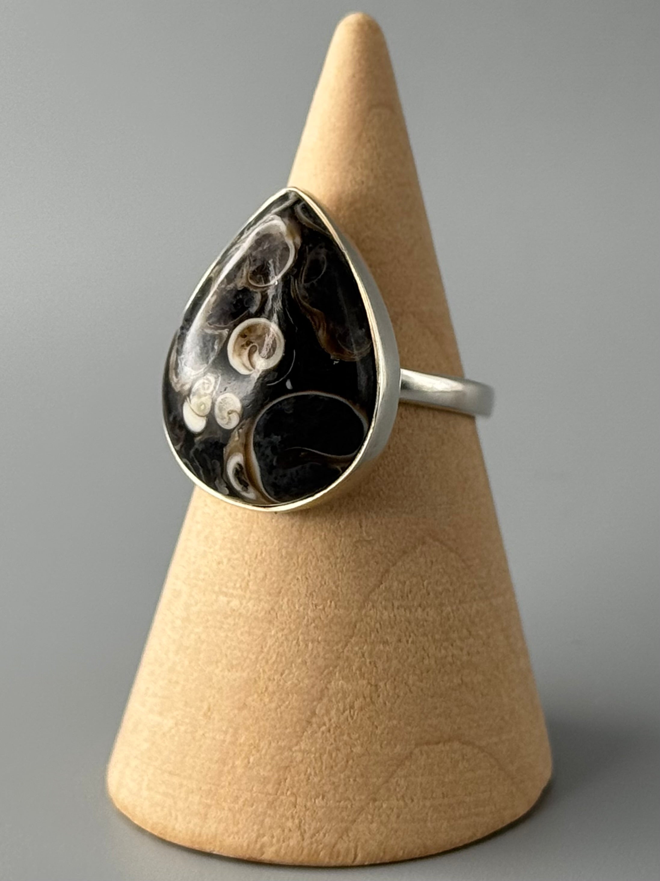 •TURRITELLA FOSSIL - TEAR - 1• simple bezel silver ring (size 6)