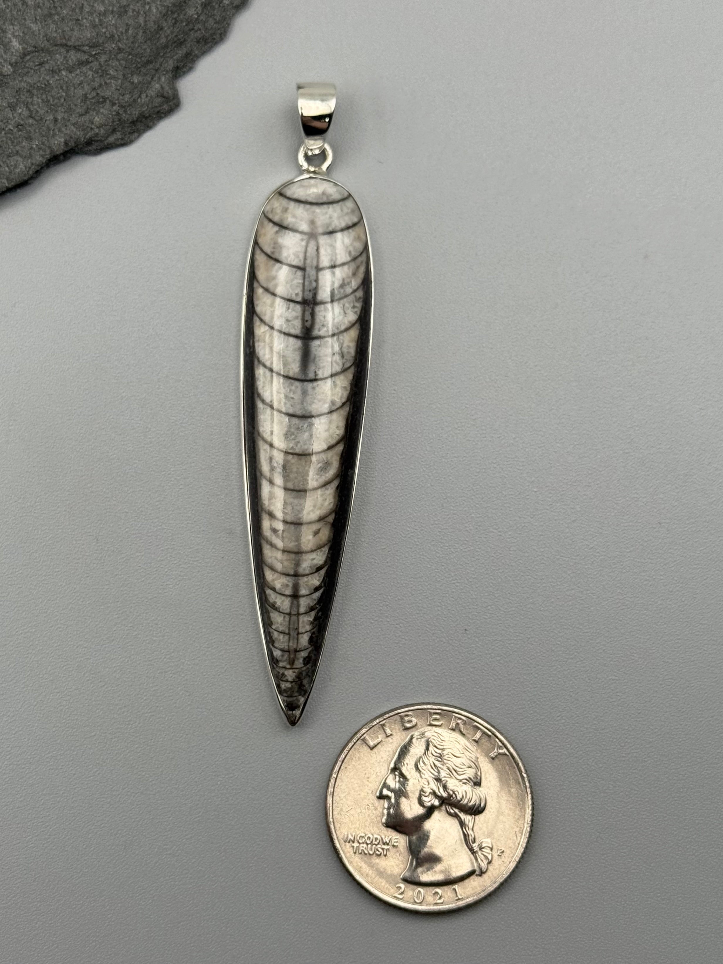 •ORTHOCERAS FOSSIL - SPEAR TEAR 5• sterling silver pendant