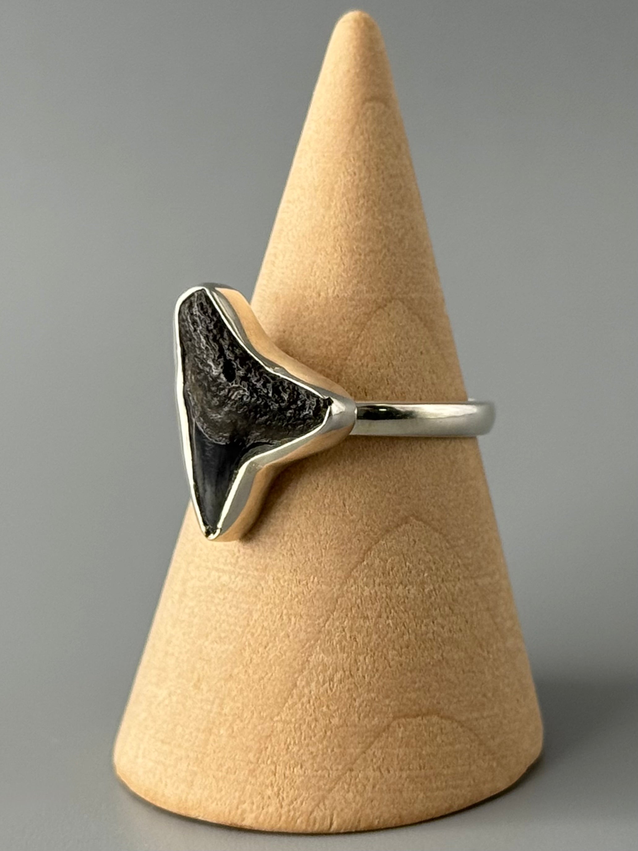 •FOSSILIZED SHARK TOOTH• simple bezel silver ring (size 8)