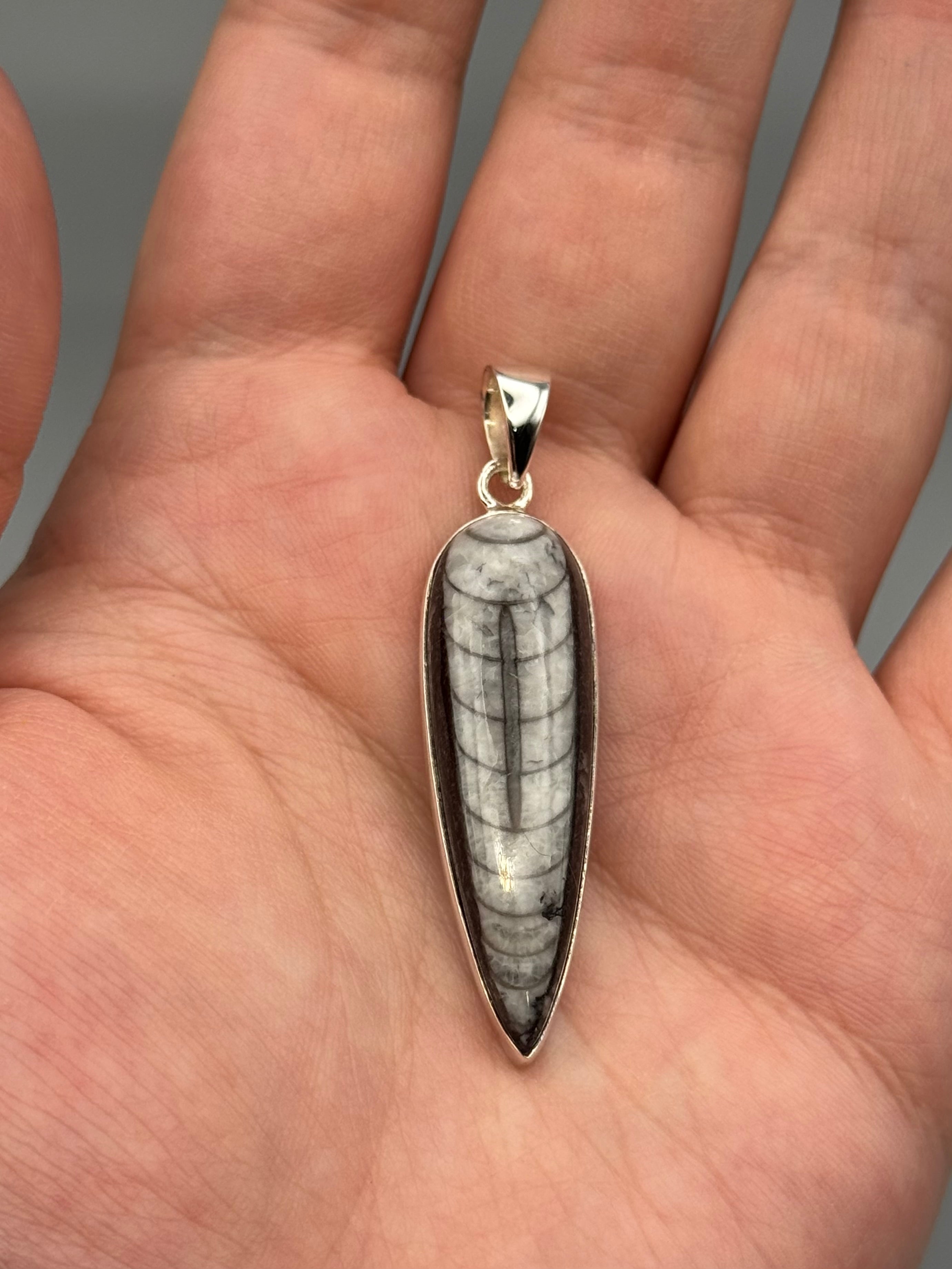 •ORTHOCERAS FOSSIL - SPEAR TEAR 1• sterling silver pendant
