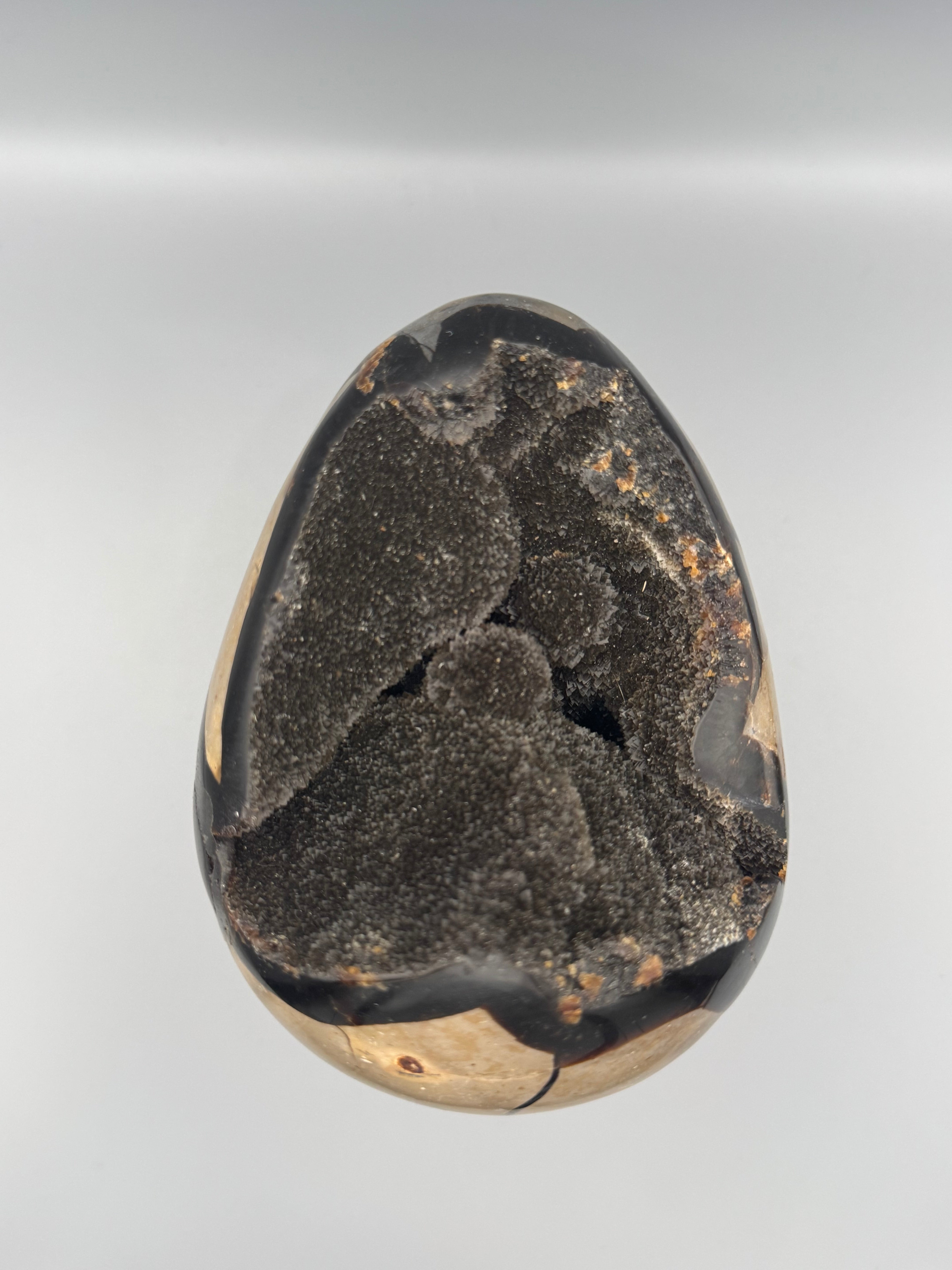 •SEPTARIAN NODULE• dragon egg