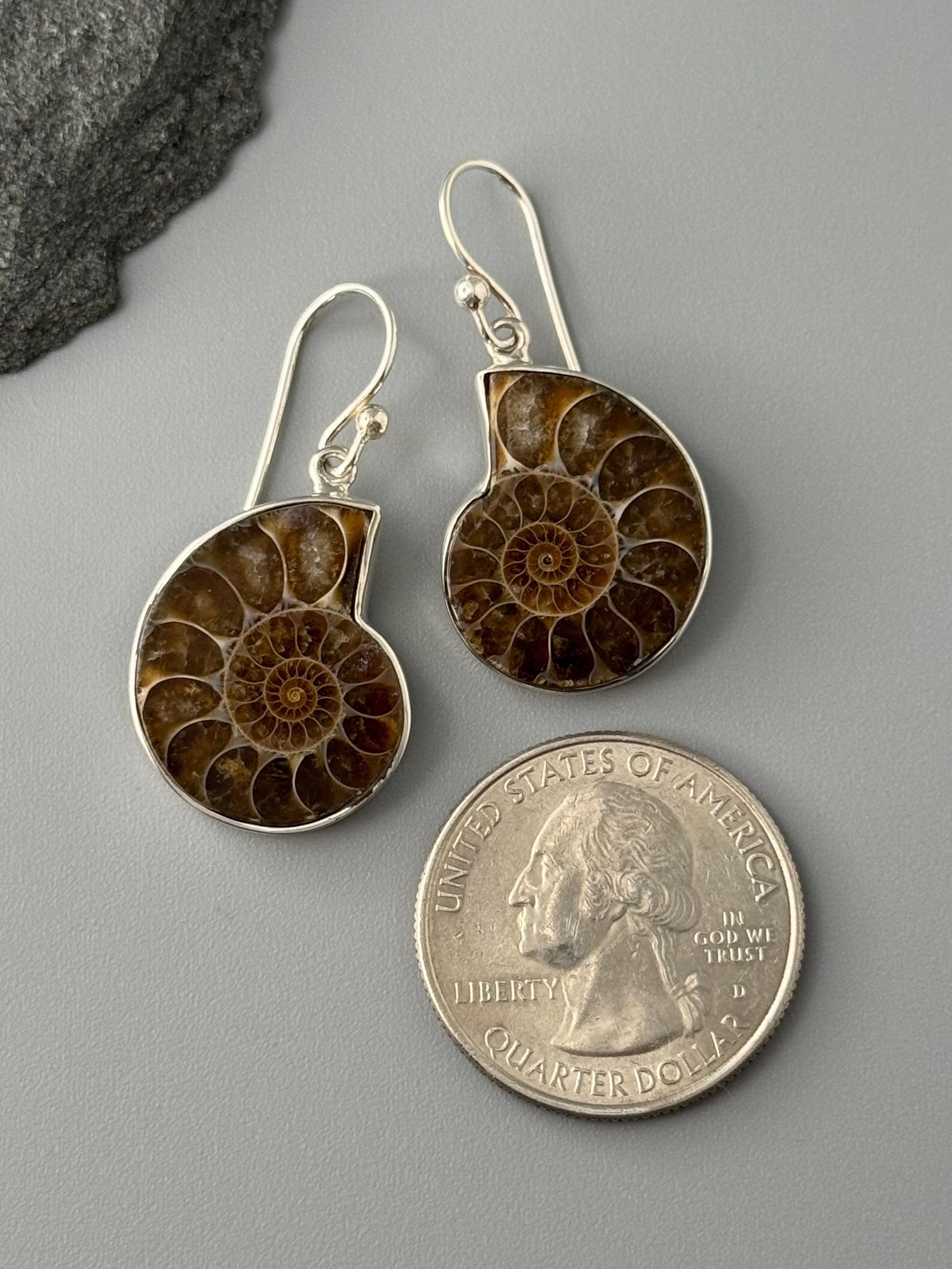 •AMMONITE• silver dangle earrings
