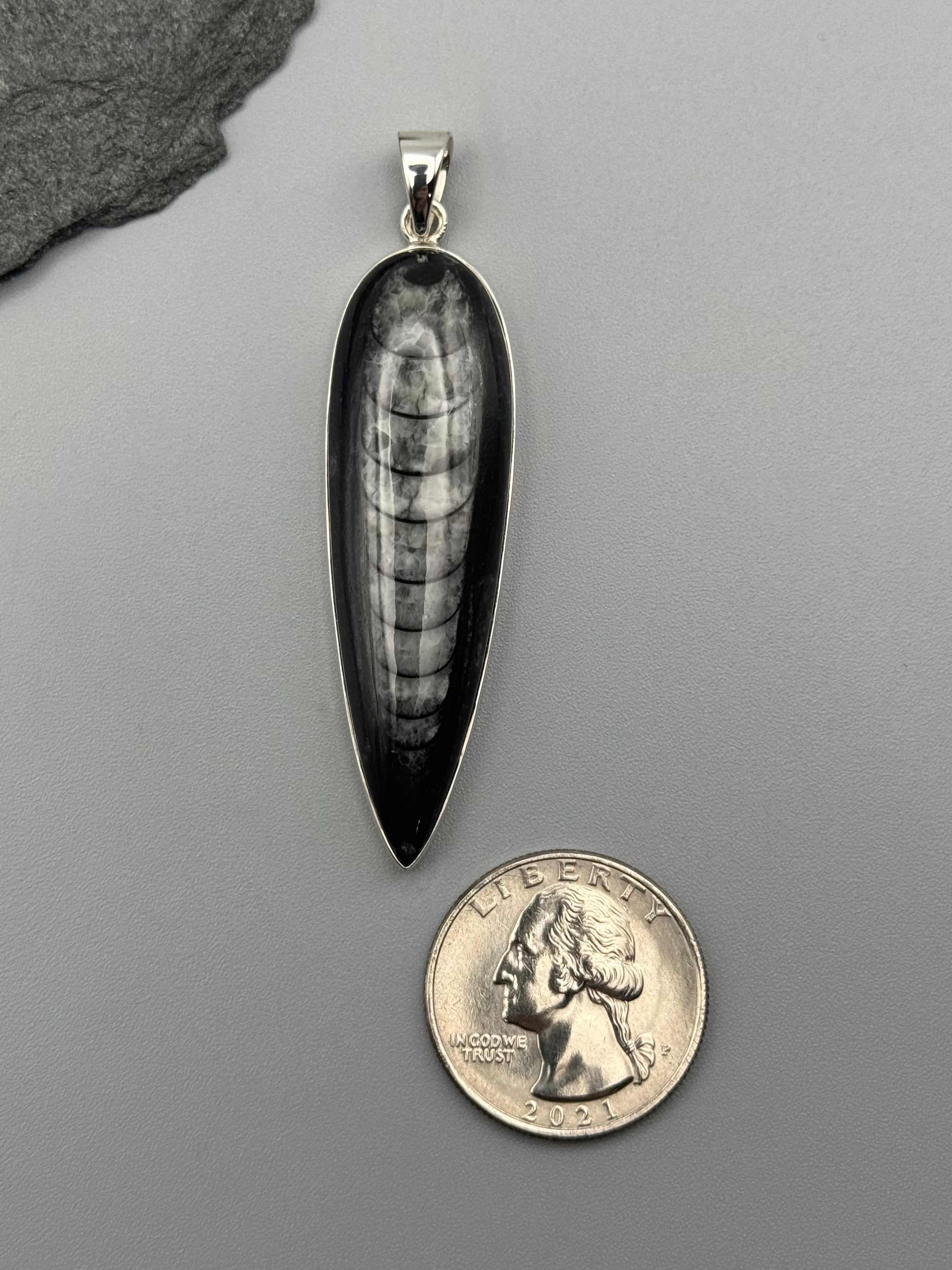 •ORTHOCERAS FOSSIL - SPEAR TEAR 3• sterling silver pendant