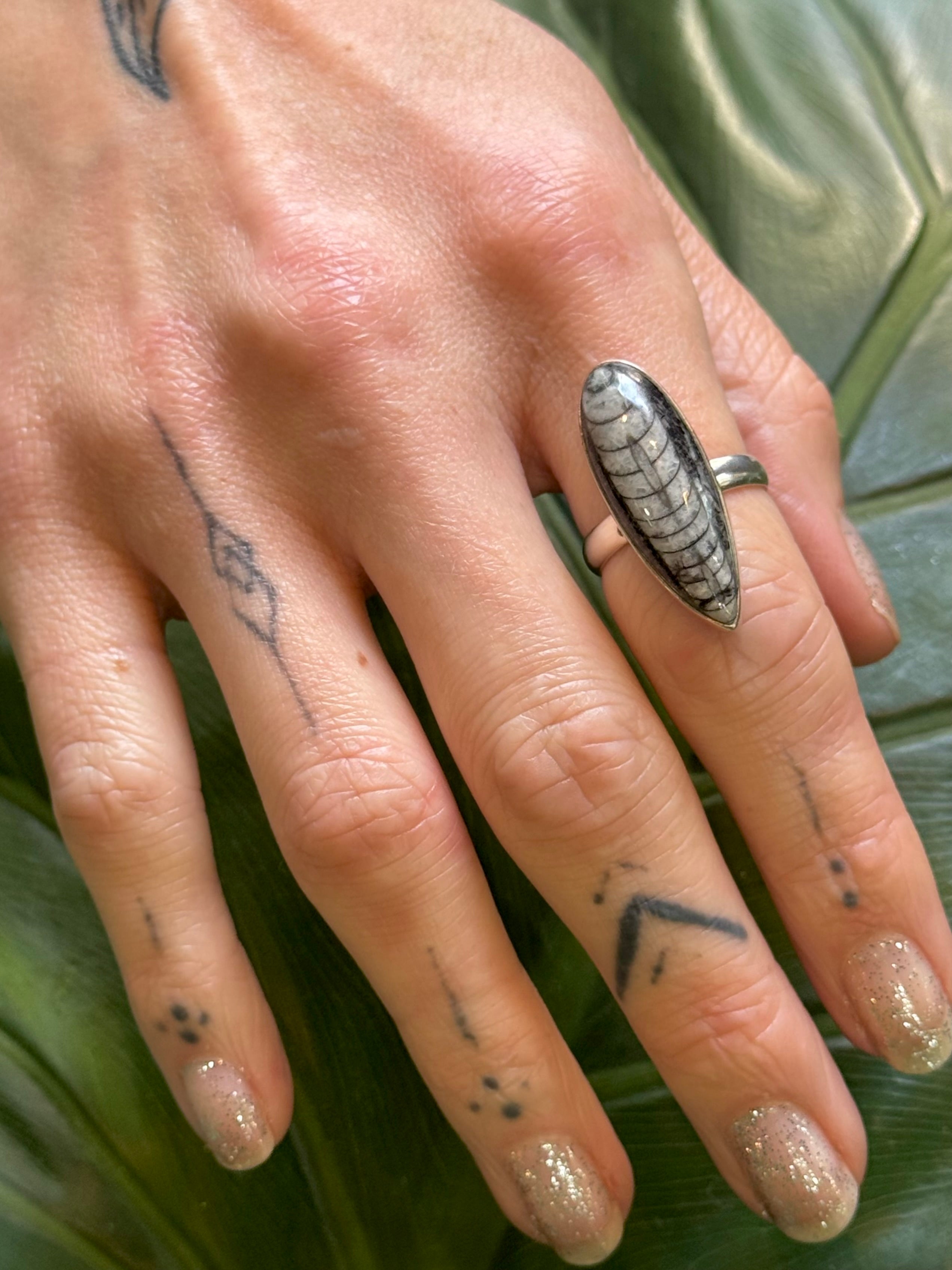 •ORTHOCERAS - TEARDROP• simple bezel silver ring (size 9)