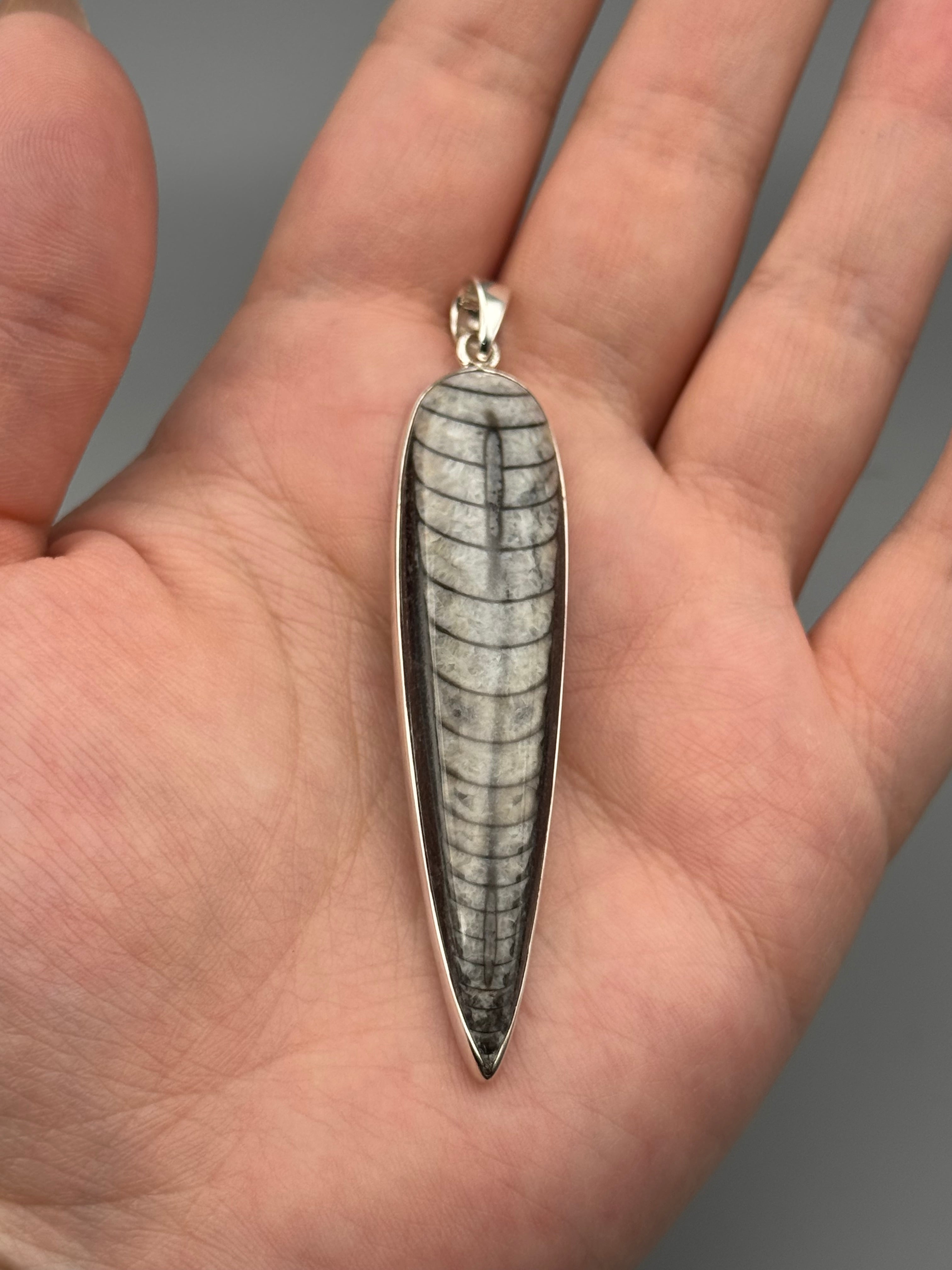 •ORTHOCERAS FOSSIL - SPEAR TEAR 5• sterling silver pendant