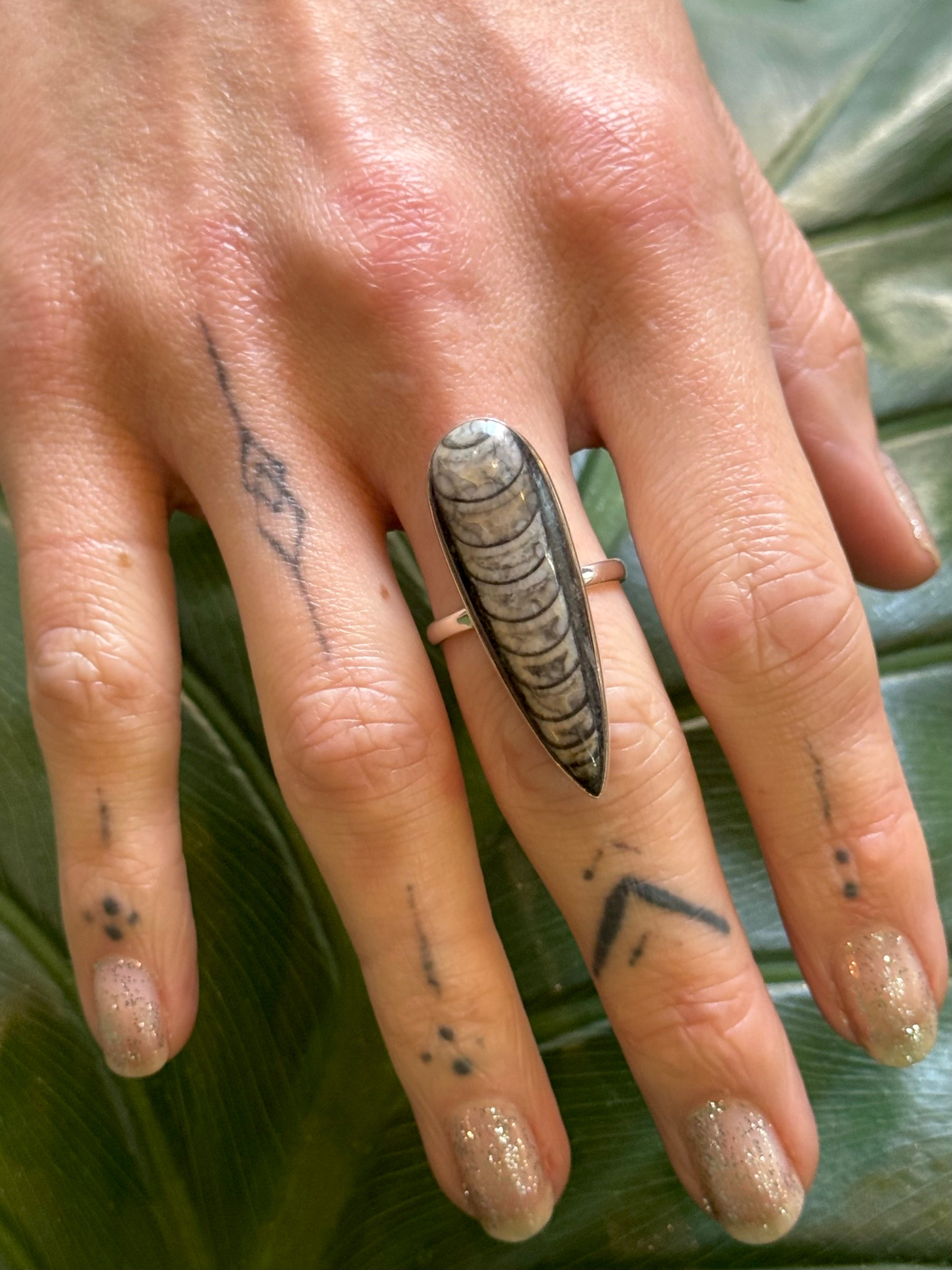 •ORTHOCERAS - TEARDROP• simple bezel silver ring (size 10)