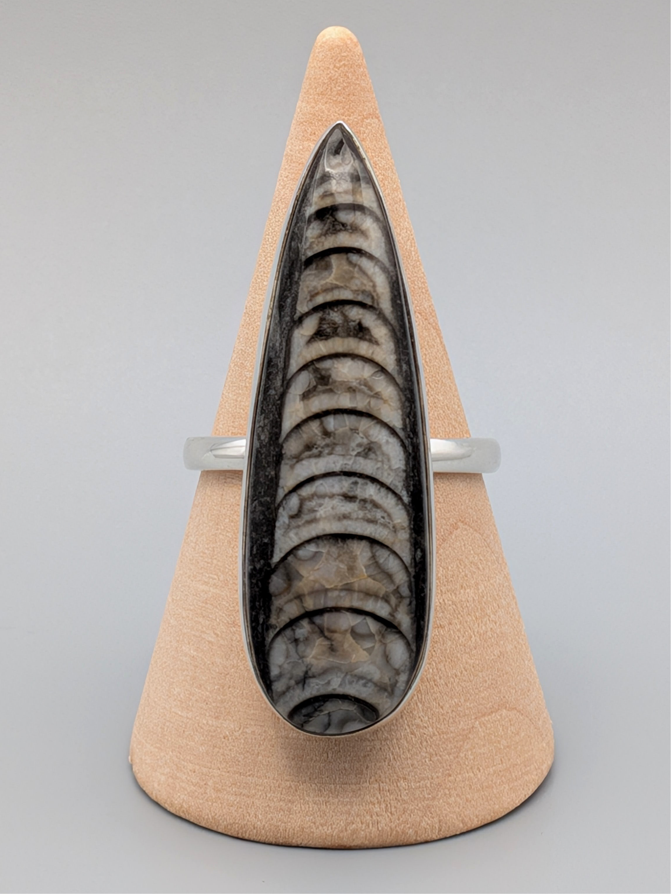 •ORTHOCERAS - TEARDROP• simple bezel silver ring (size 10)