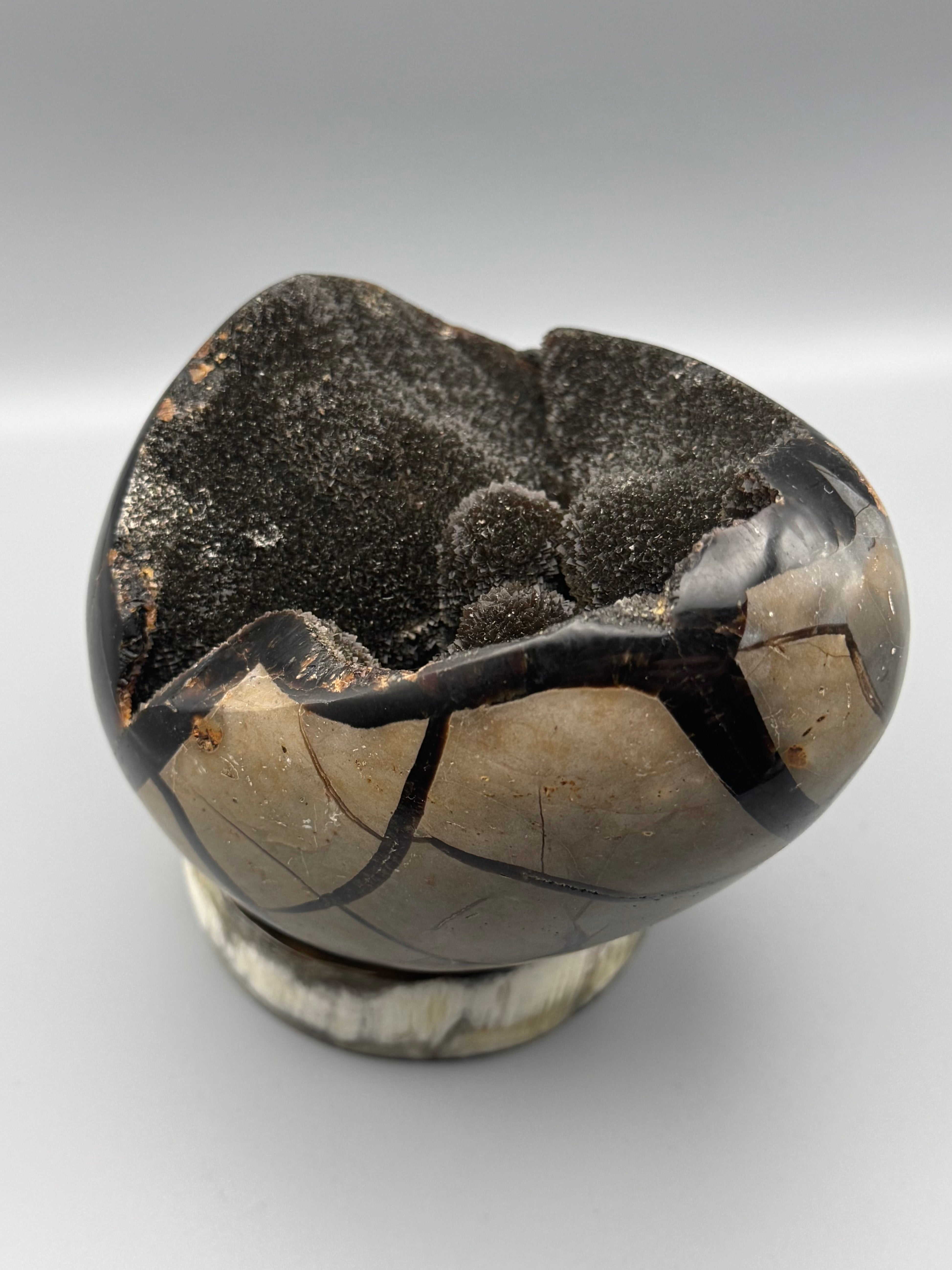 •SEPTARIAN NODULE• dragon egg