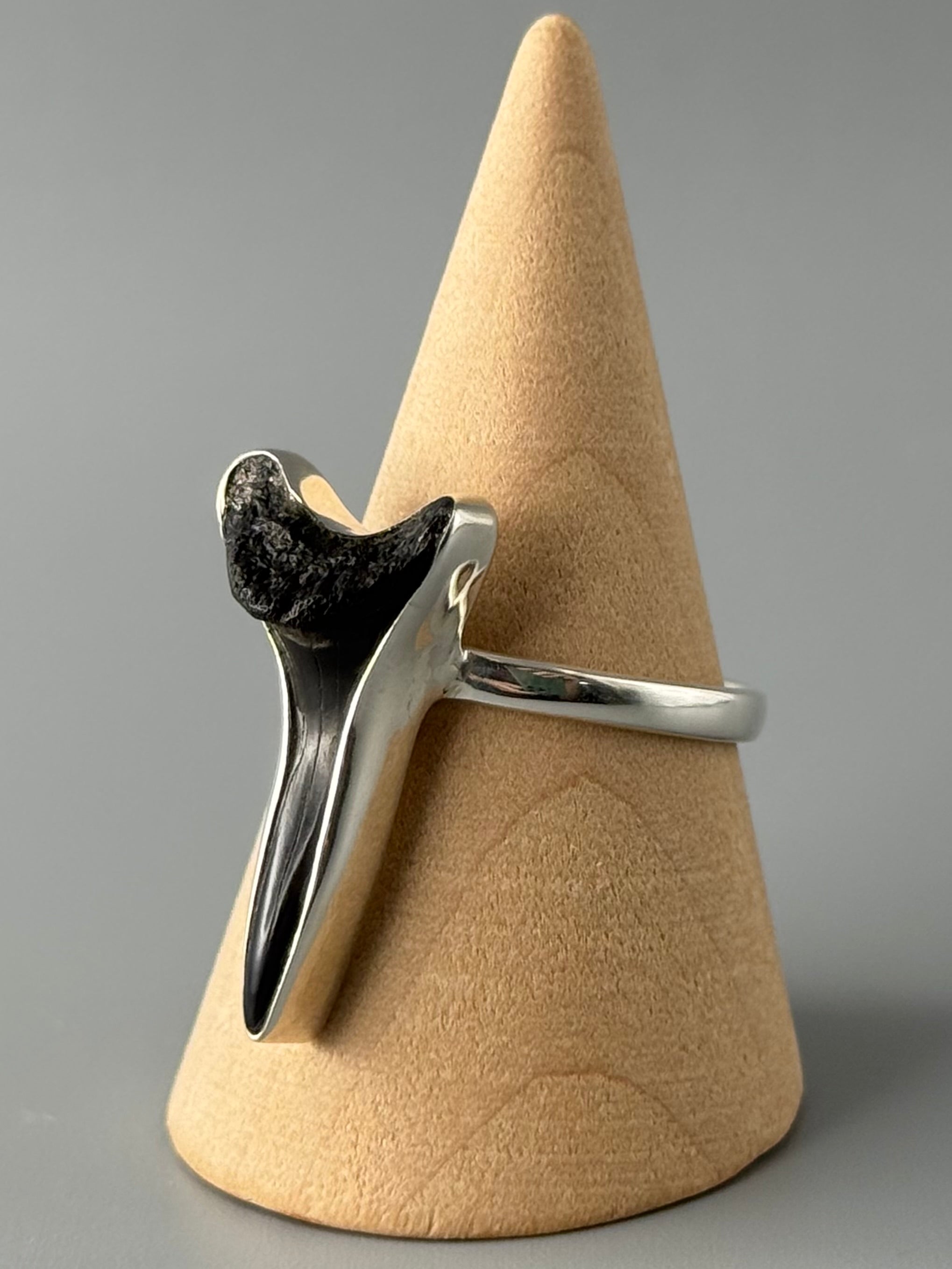 •FOSSILIZED SHARK TOOTH• simple bezel silver ring (size 10)