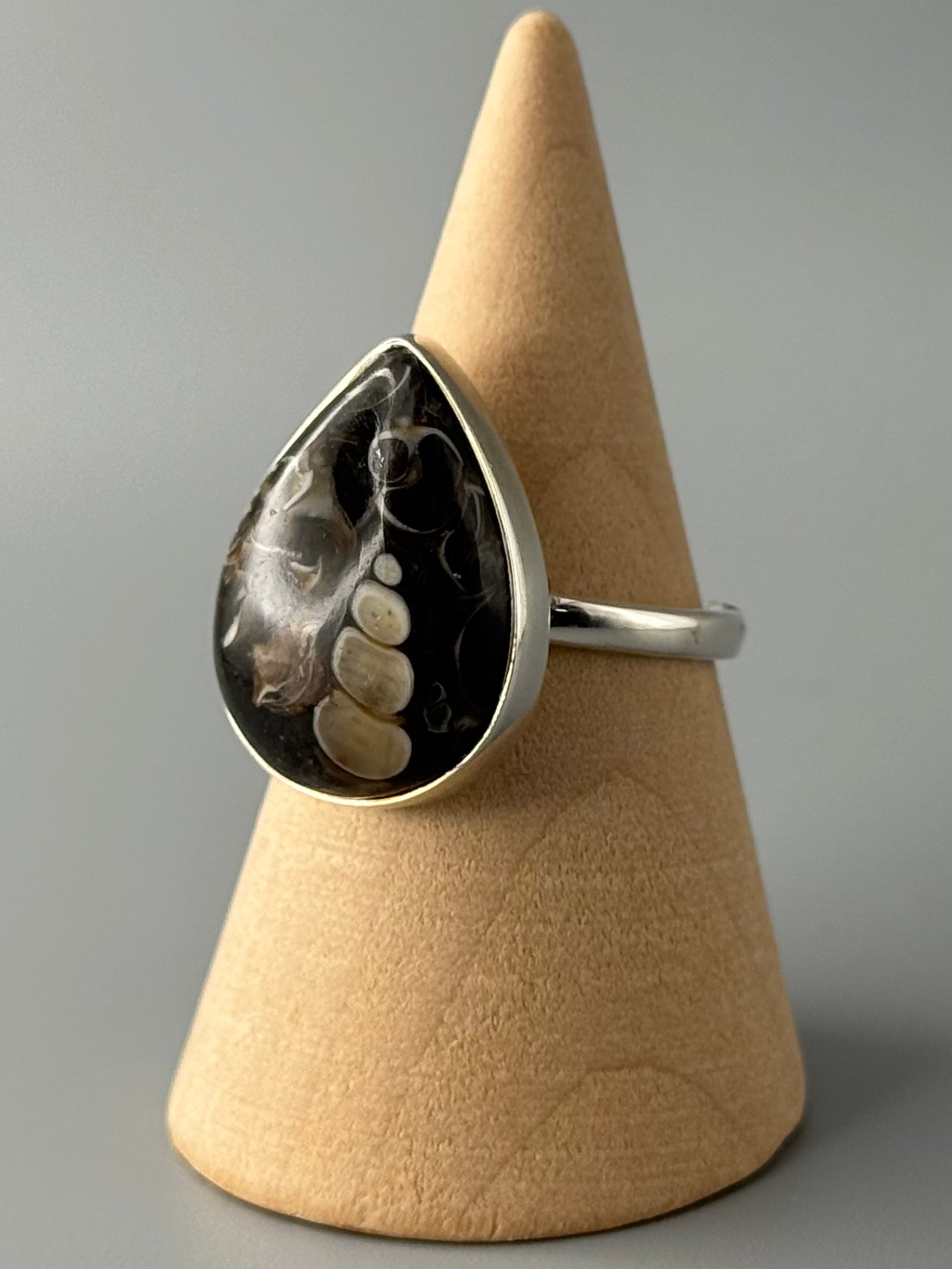 •TURRITELLA FOSSIL - TEAR• simple bezel silver ring (size 8)