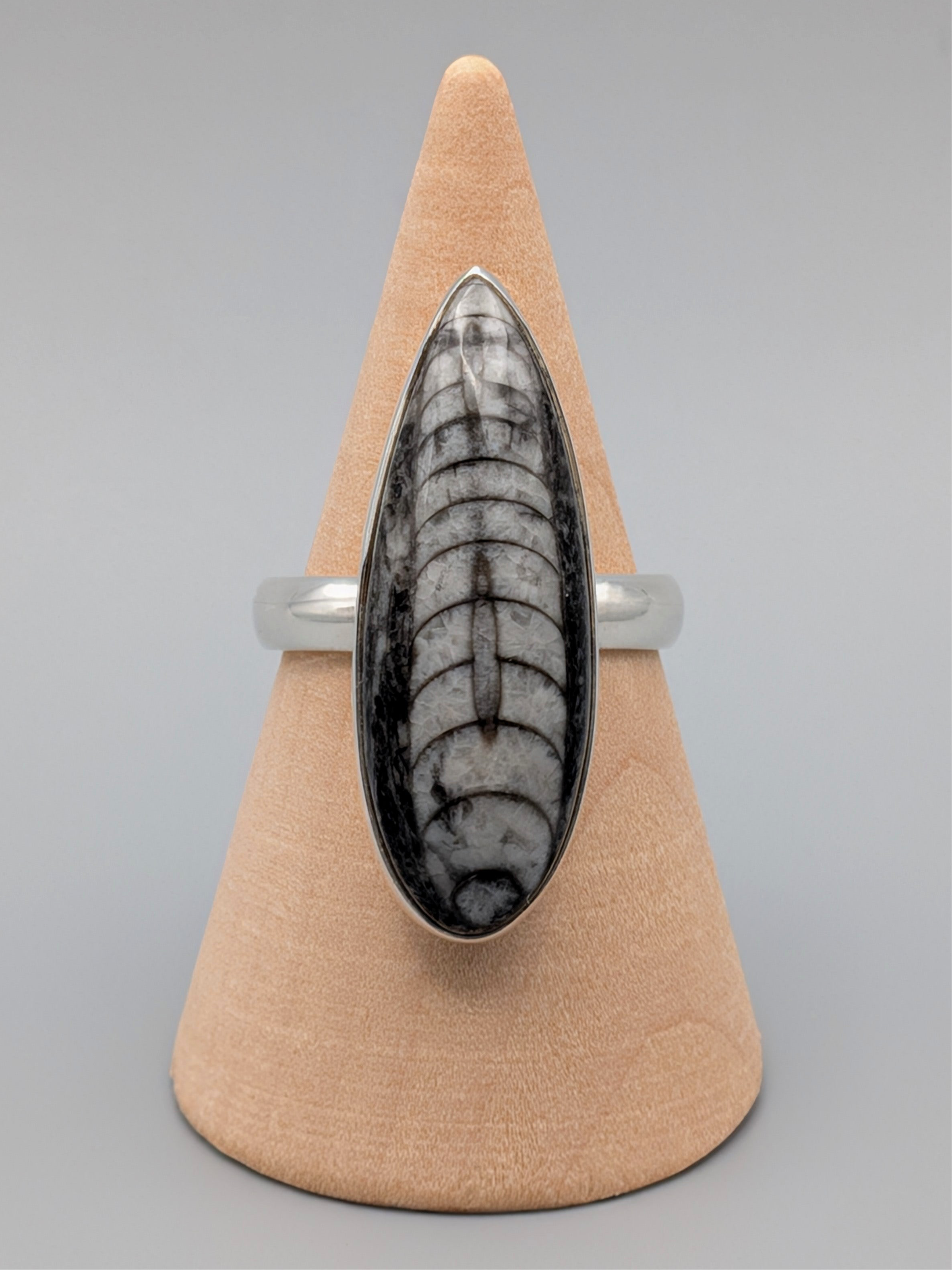 •ORTHOCERAS - TEARDROP• simple bezel silver ring (size 9)