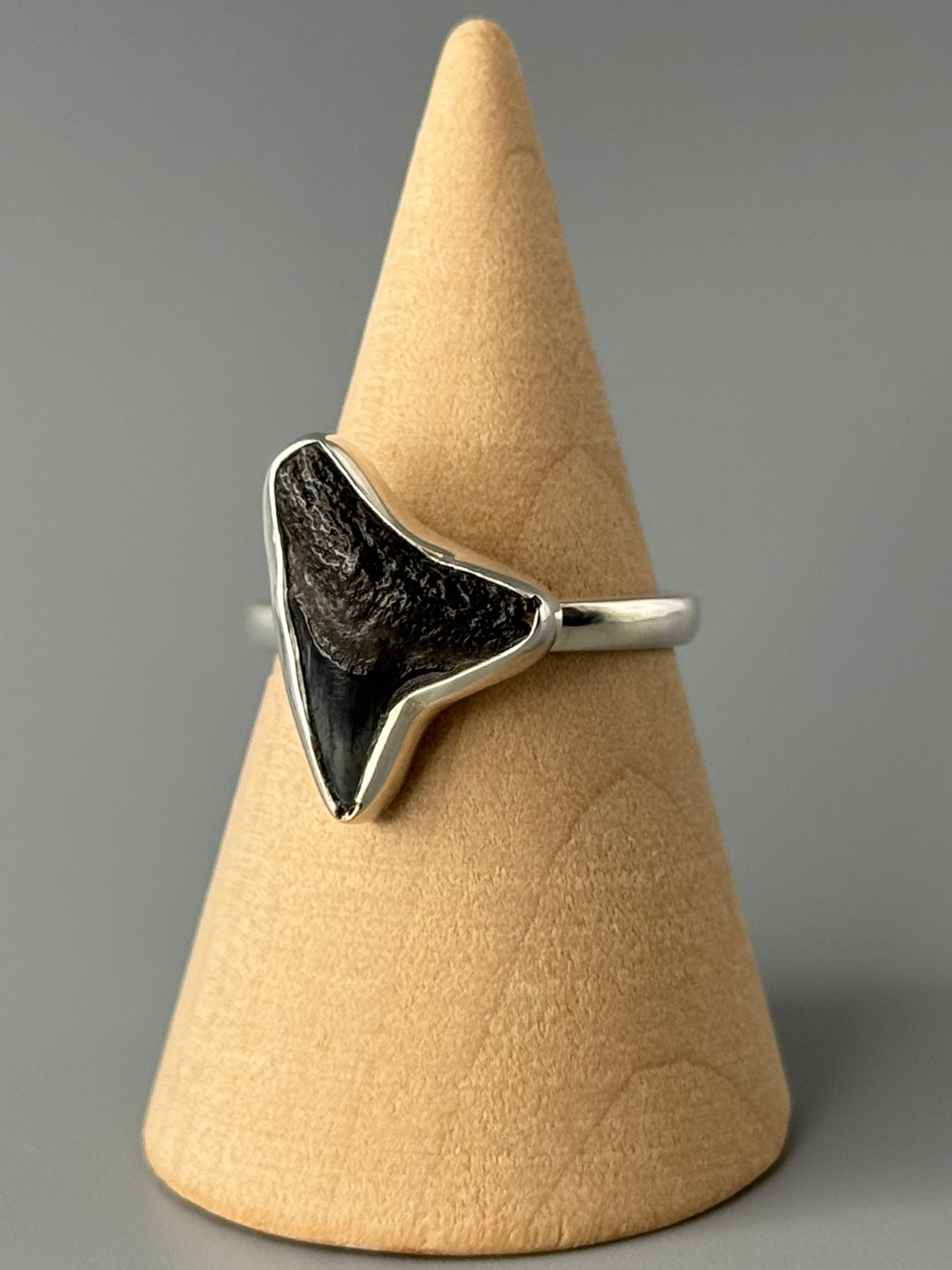 •FOSSILIZED SHARK TOOTH• simple bezel silver ring (size 8)