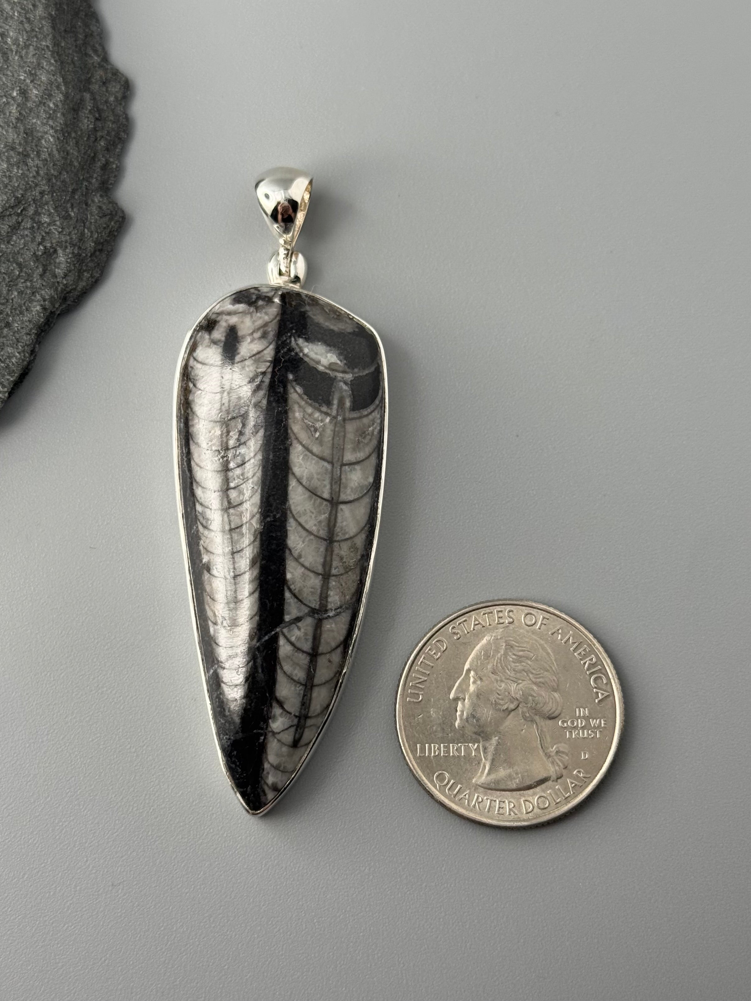 •ORTHOCERAS FOSSIL - 1• sterling silver pendant
