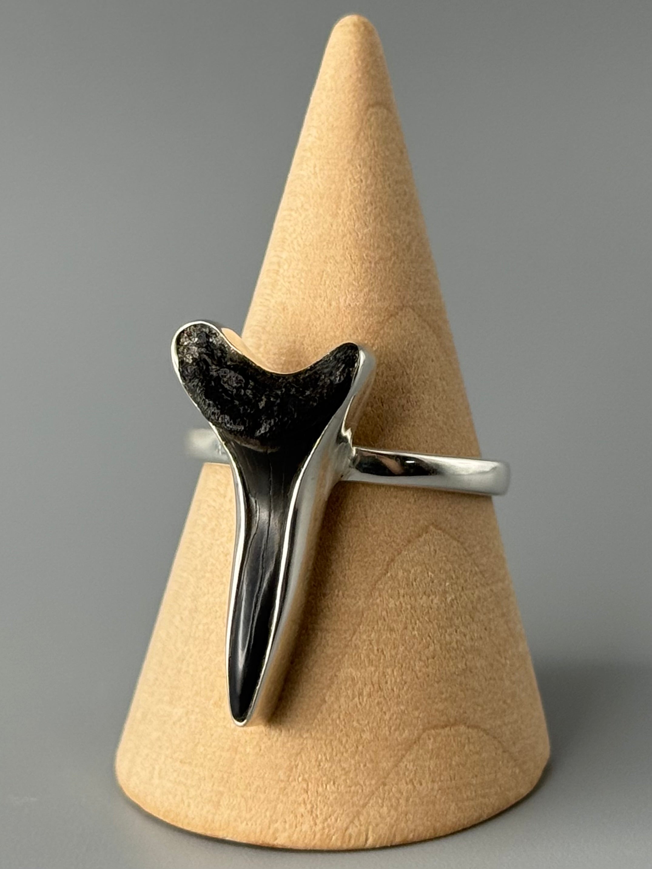 •FOSSILIZED SHARK TOOTH• simple bezel silver ring (size 10)