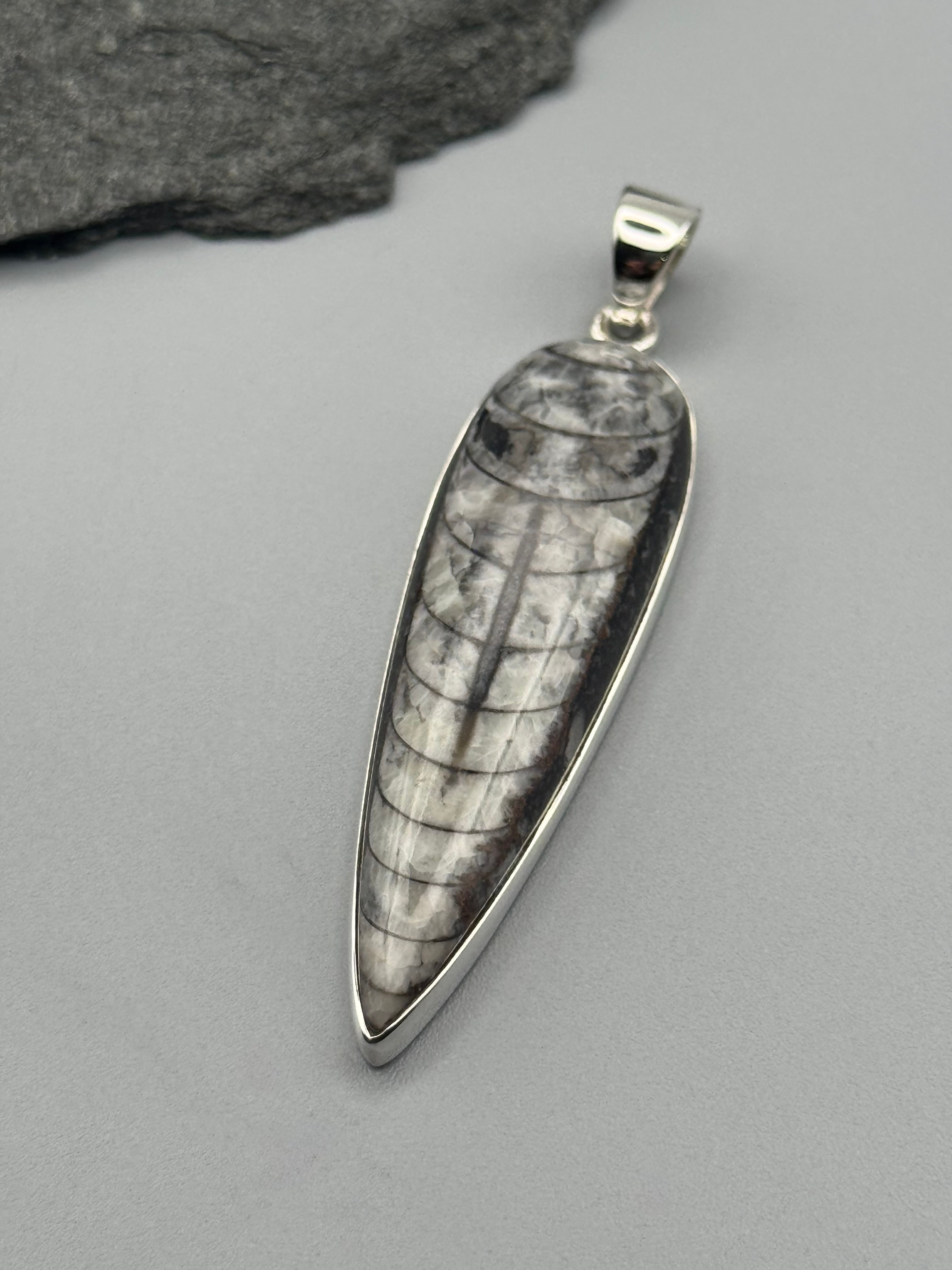•ORTHOCERAS FOSSIL - SPEAR TEAR 2• sterling silver pendant