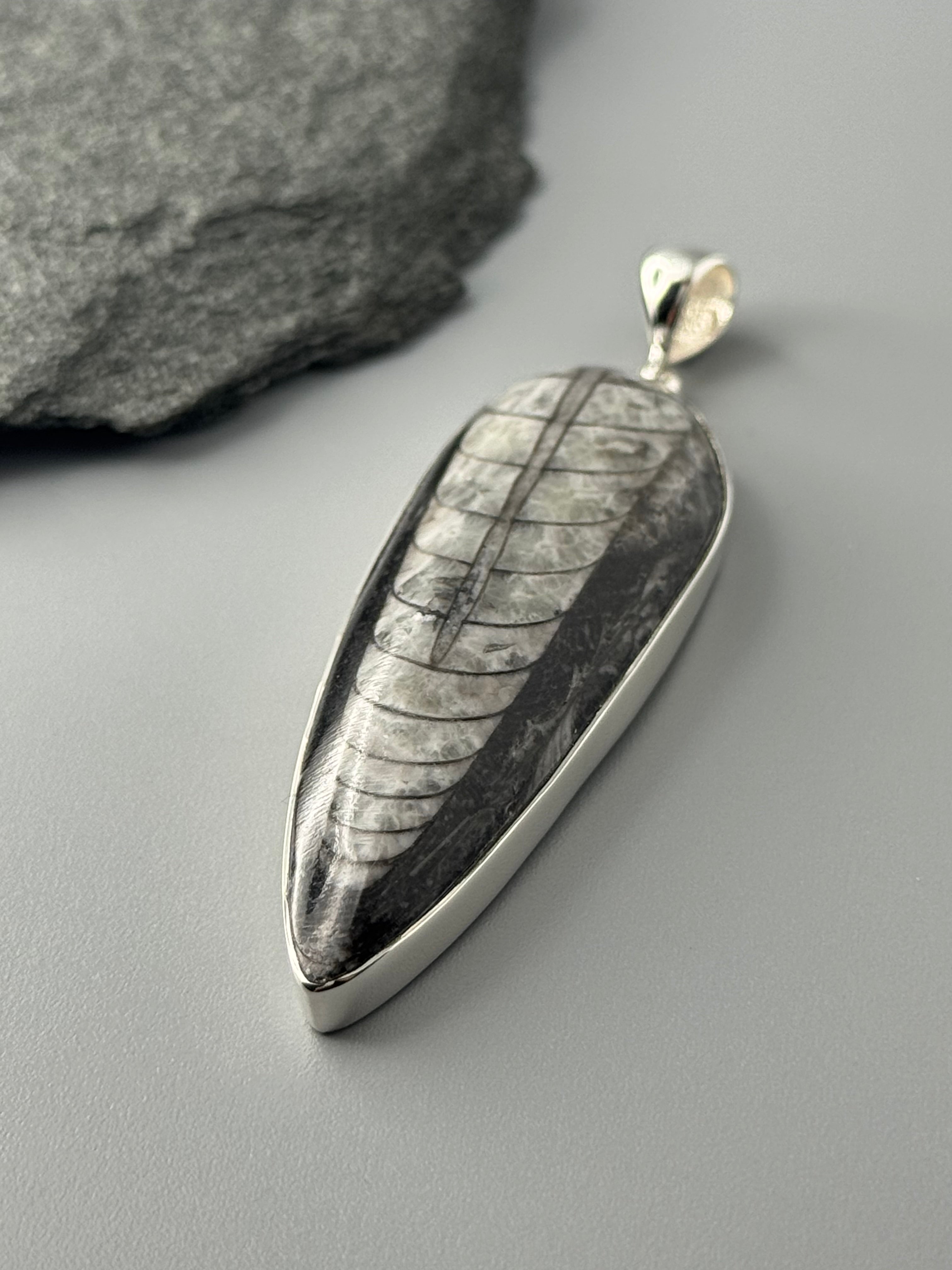 •ORTHOCERAS FOSSIL - 2• sterling silver pendant