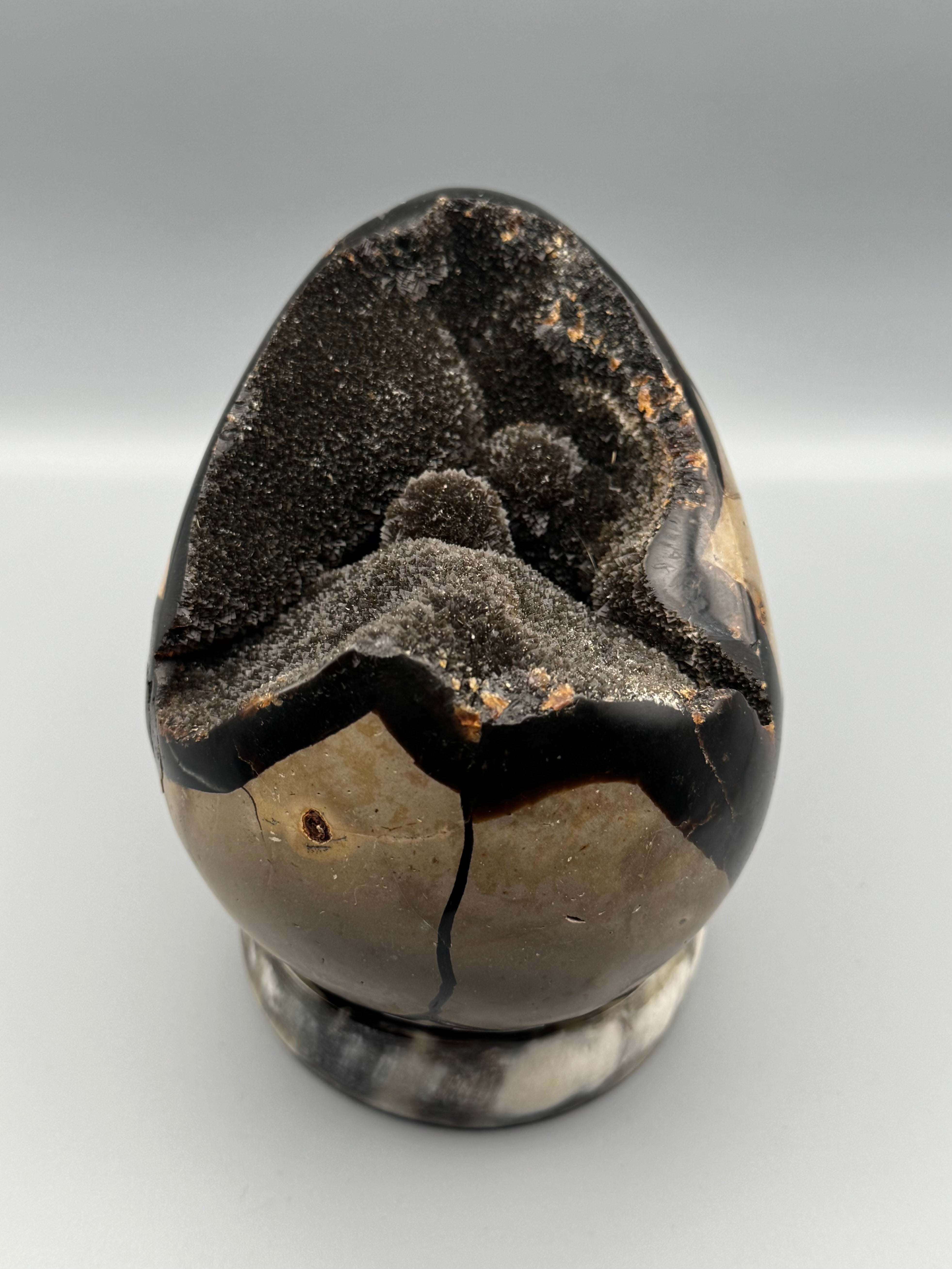 •SEPTARIAN NODULE• dragon egg