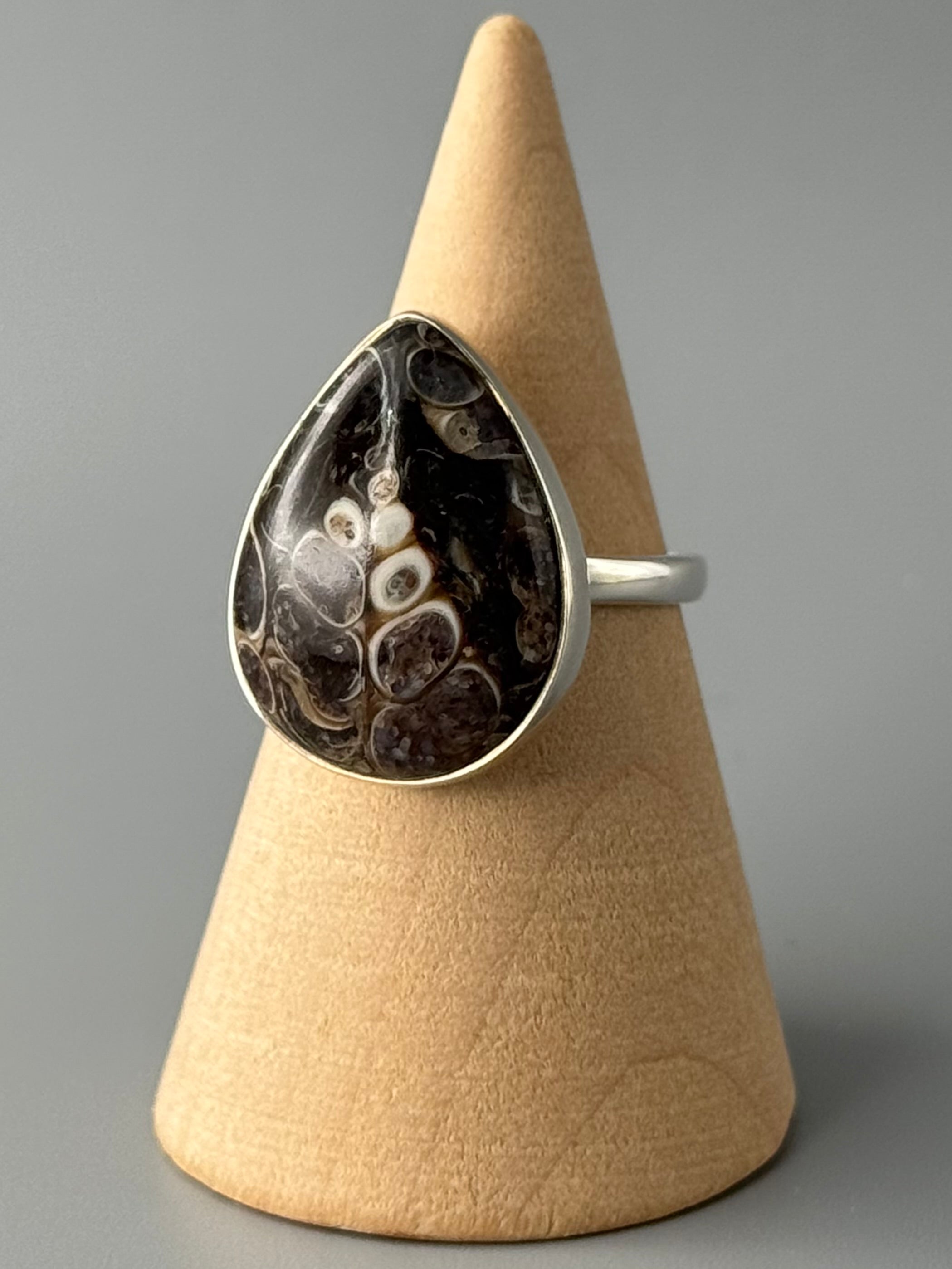 •TURRITELLA FOSSIL - TEAR• simple bezel silver ring (size 7)