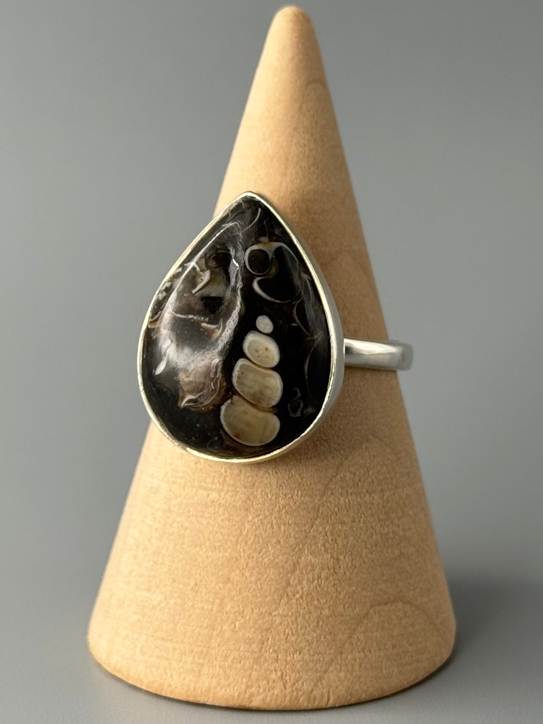•TURRITELLA FOSSIL - TEAR• simple bezel silver ring (size 8)
