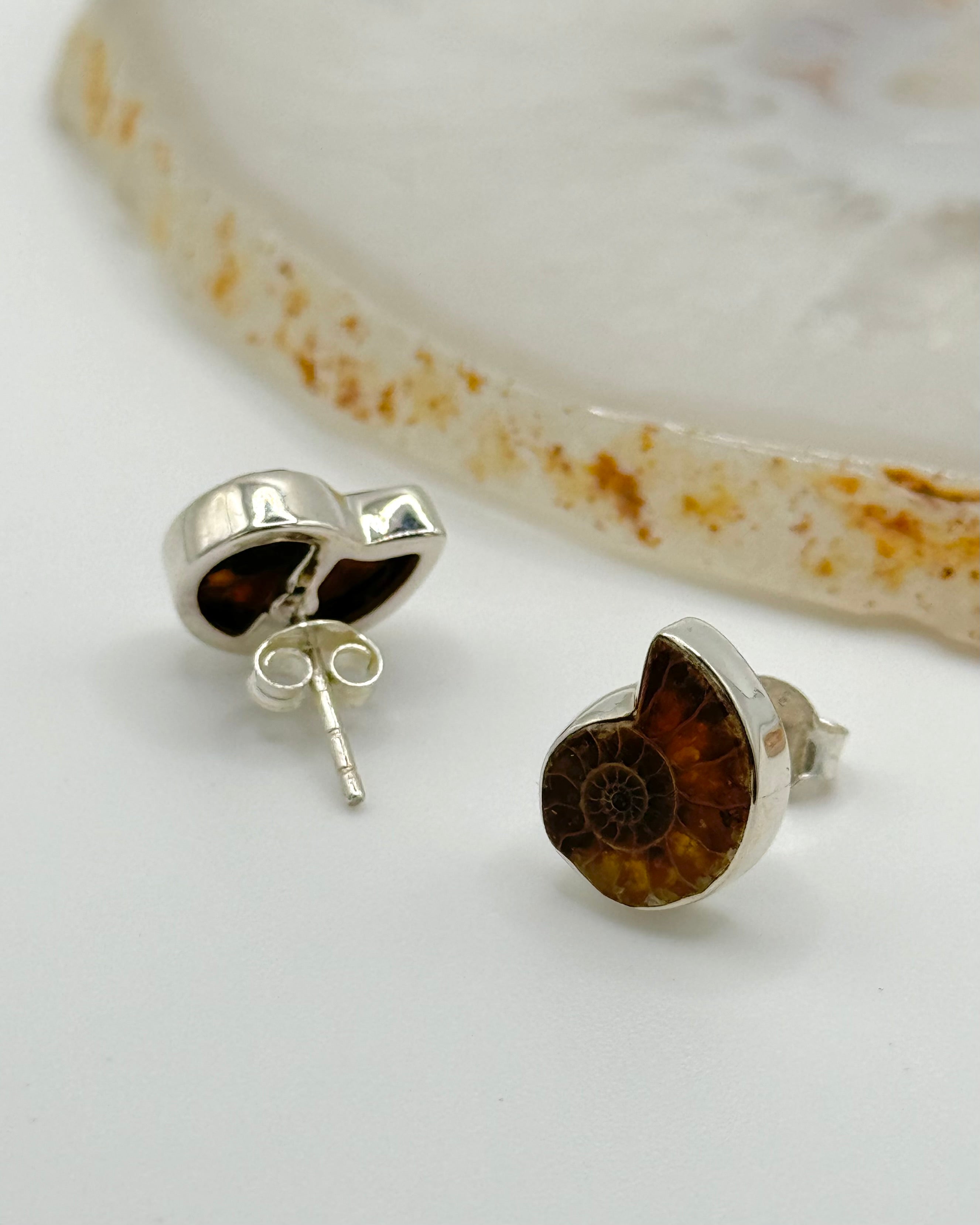 •AMMONITE - SIMPLE• silver bezel set stud earrings