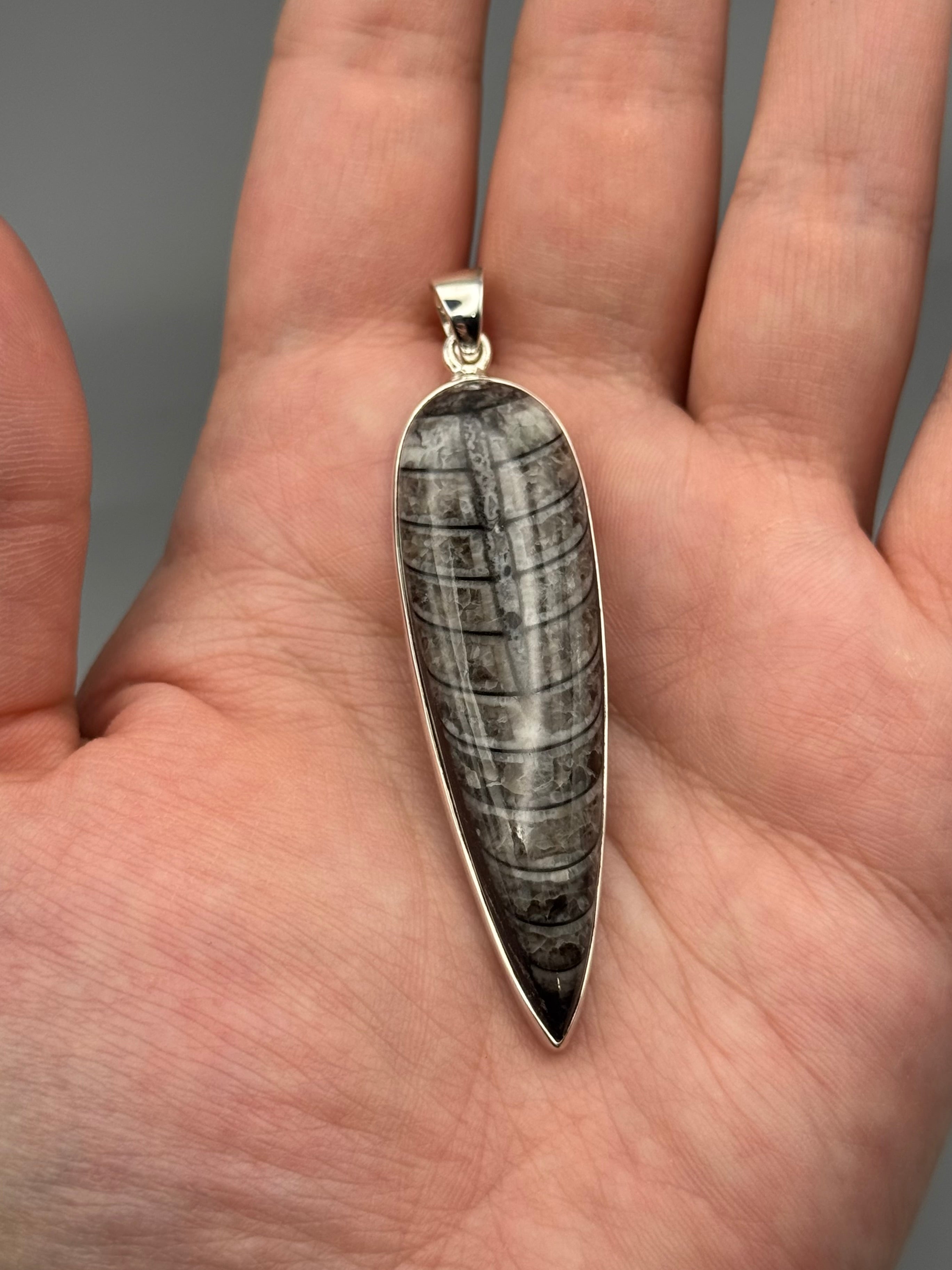 •ORTHOCERAS FOSSIL - SPEAR TEAR 4• sterling silver pendant
