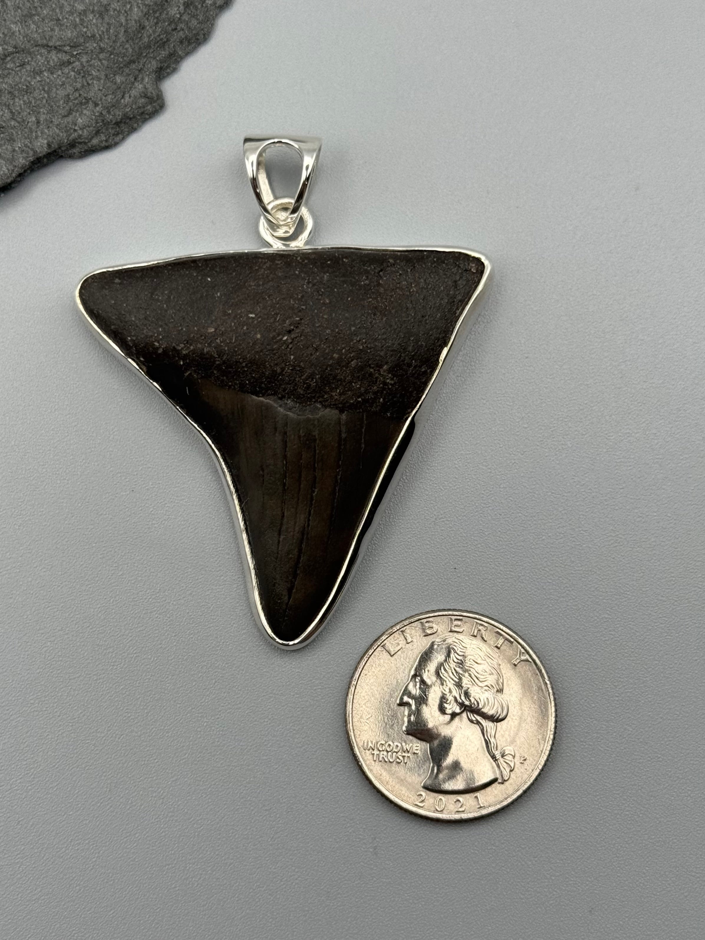 •FOSSILIZED SHARK TOOTH XL• sterling silver pendant