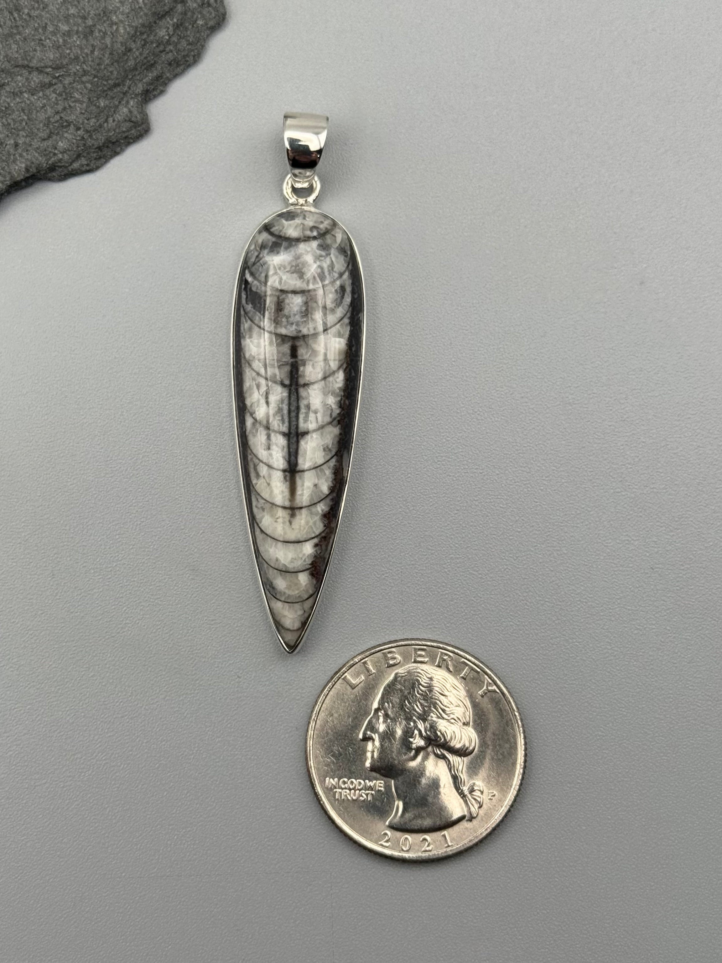 •ORTHOCERAS FOSSIL - SPEAR TEAR 2• sterling silver pendant