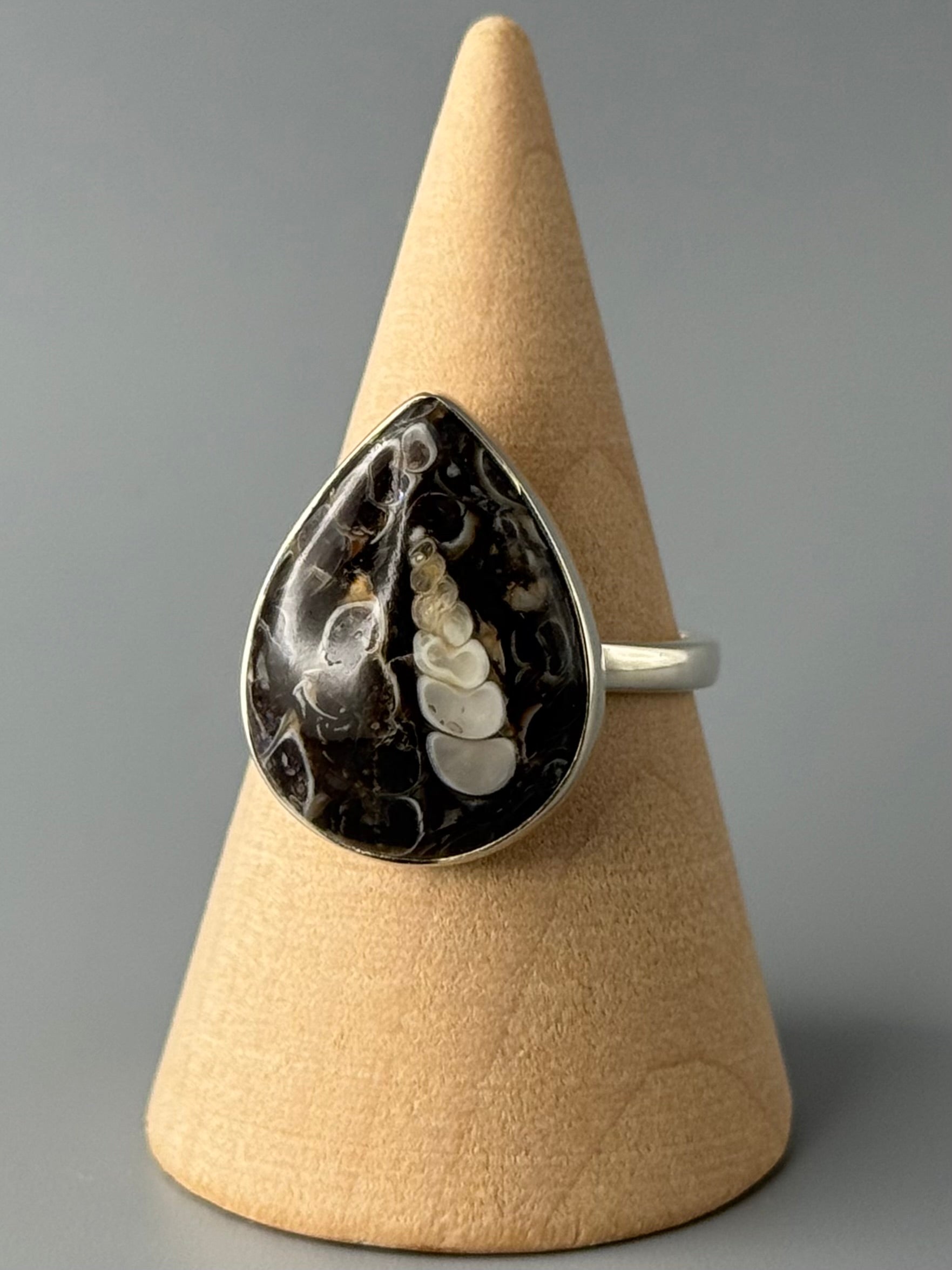 •TURRITELLA FOSSIL - TEAR• simple bezel silver ring (size 9)