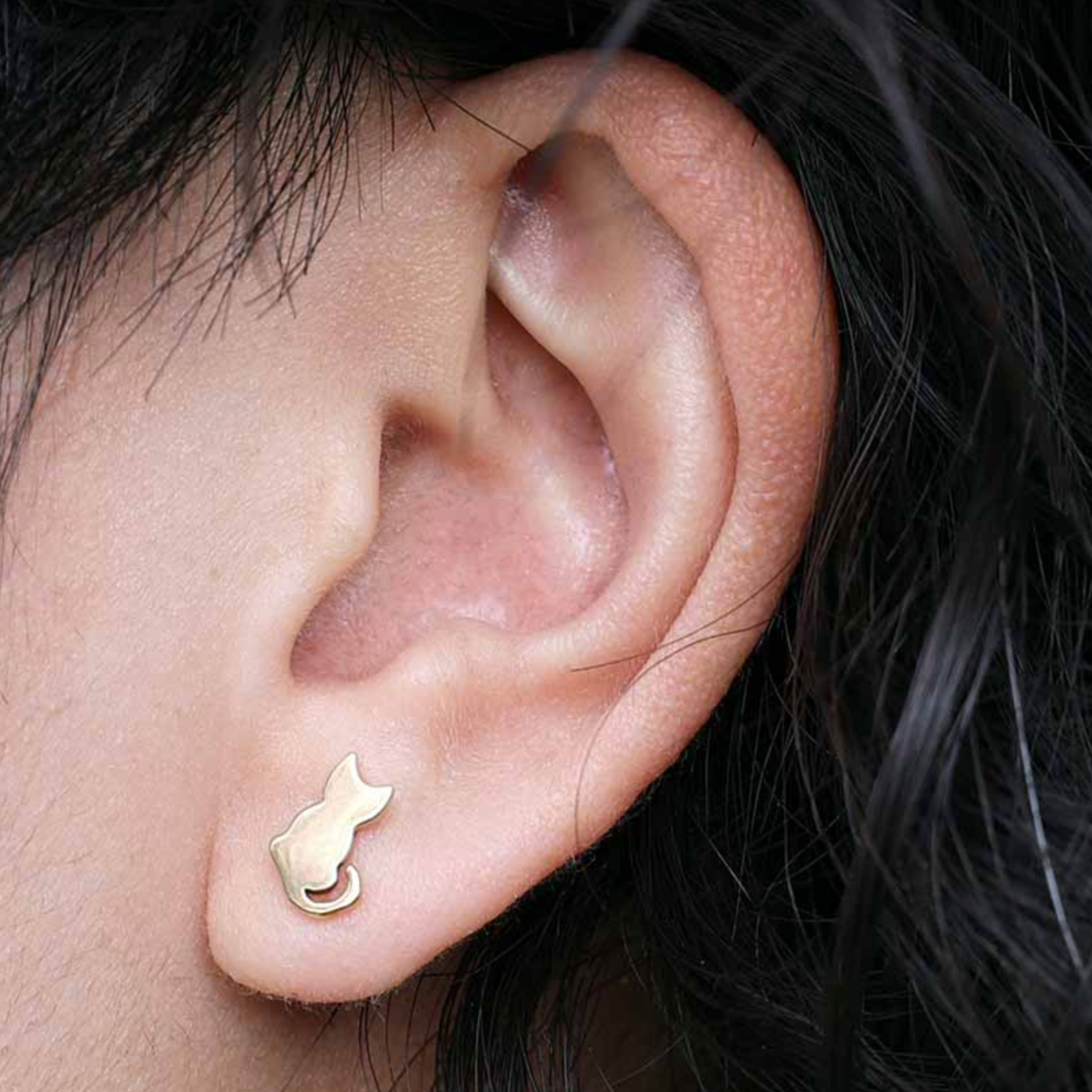 •SITTING CAT• bronze stud earrings