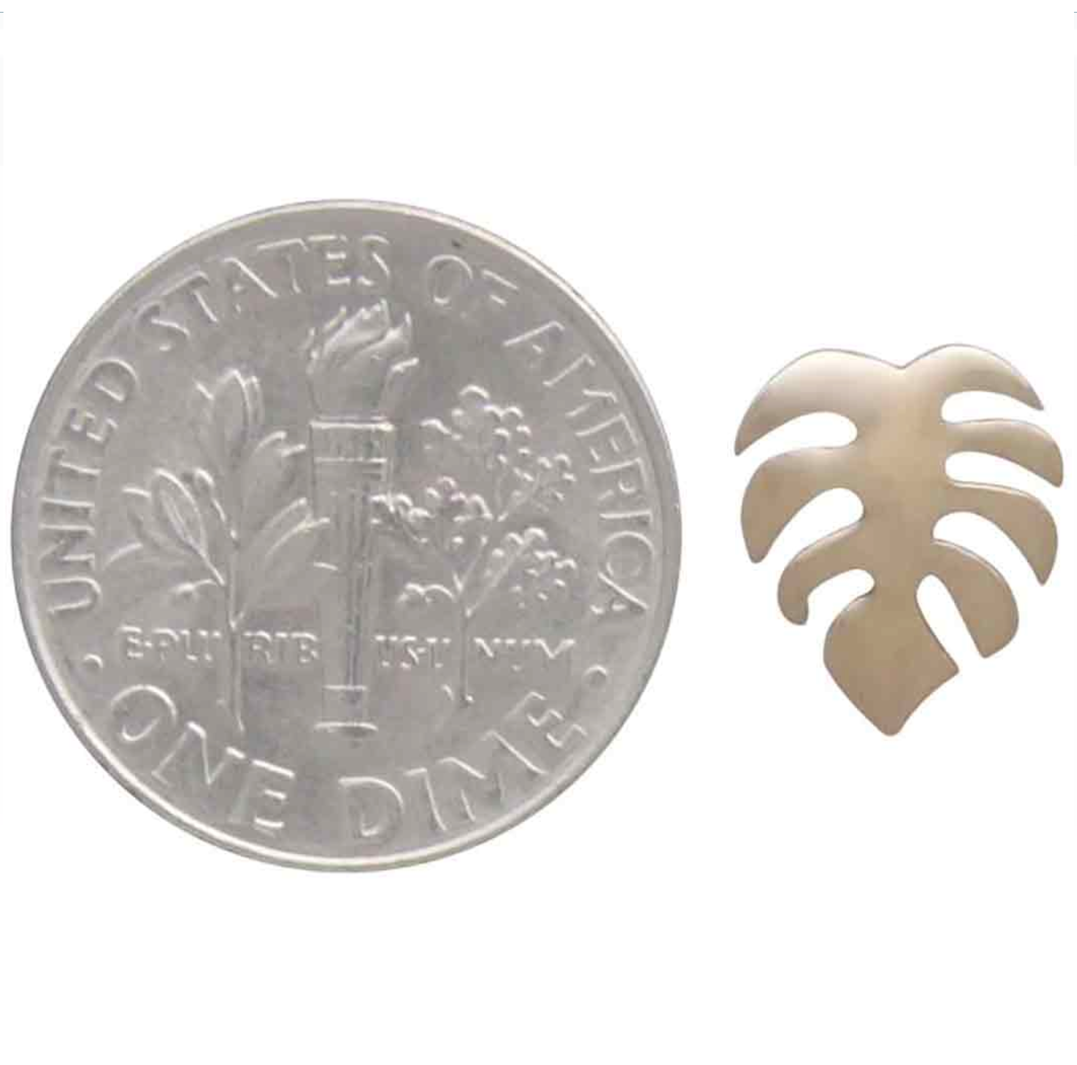•SMALL FLAT MONSTERA• bronze stud earrings