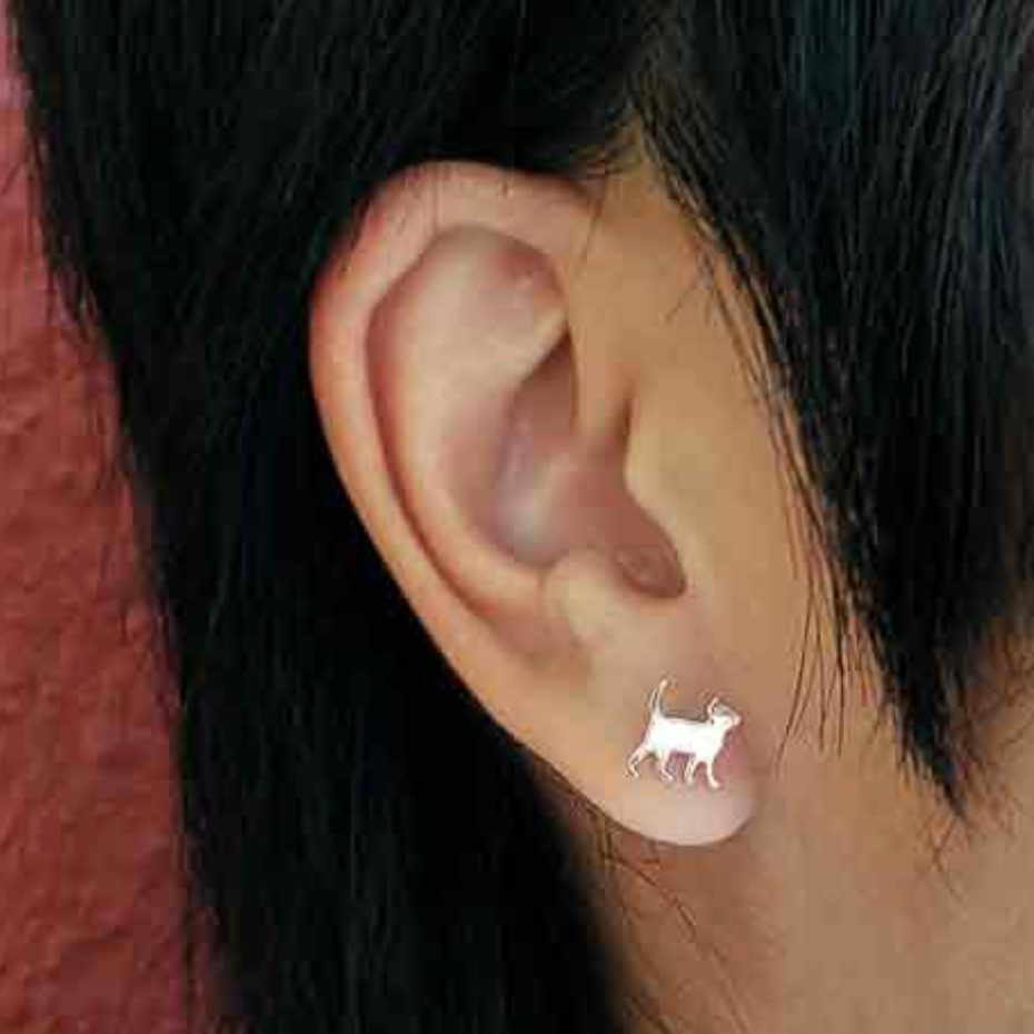 •CURIOUS CAT• recycled silver stud earrings