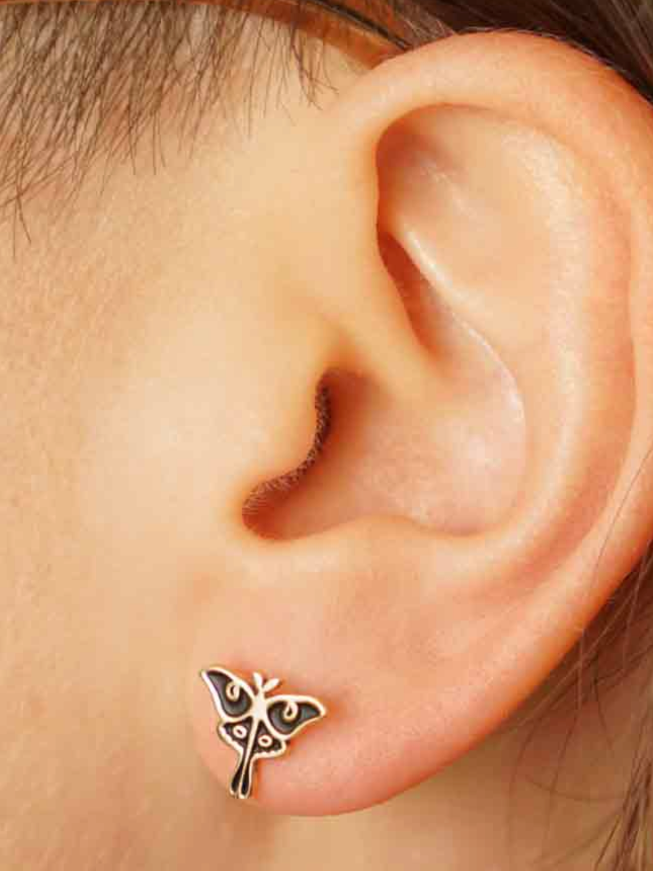 •LITTLE LUNA MOTH• bronze stud earrings