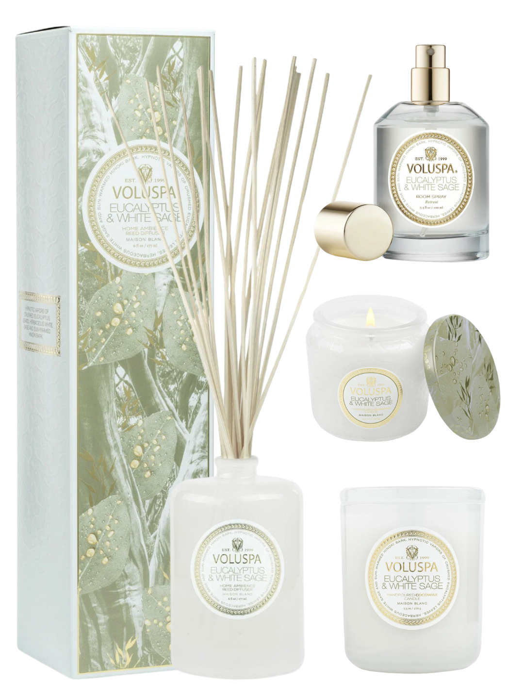 •EUCALYPTUS & WHITE SAGE• fragrance